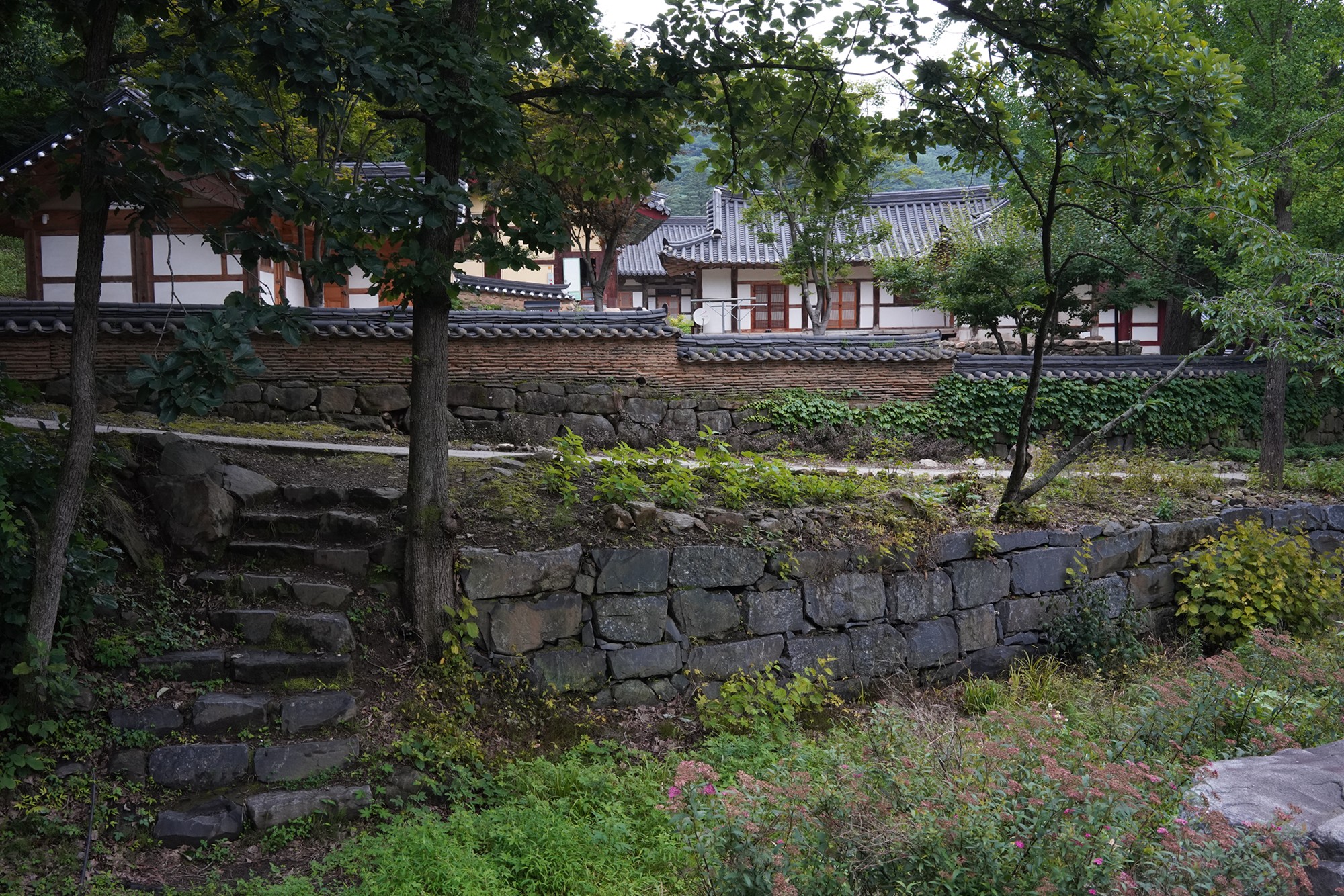 Magoksa Temple (3)