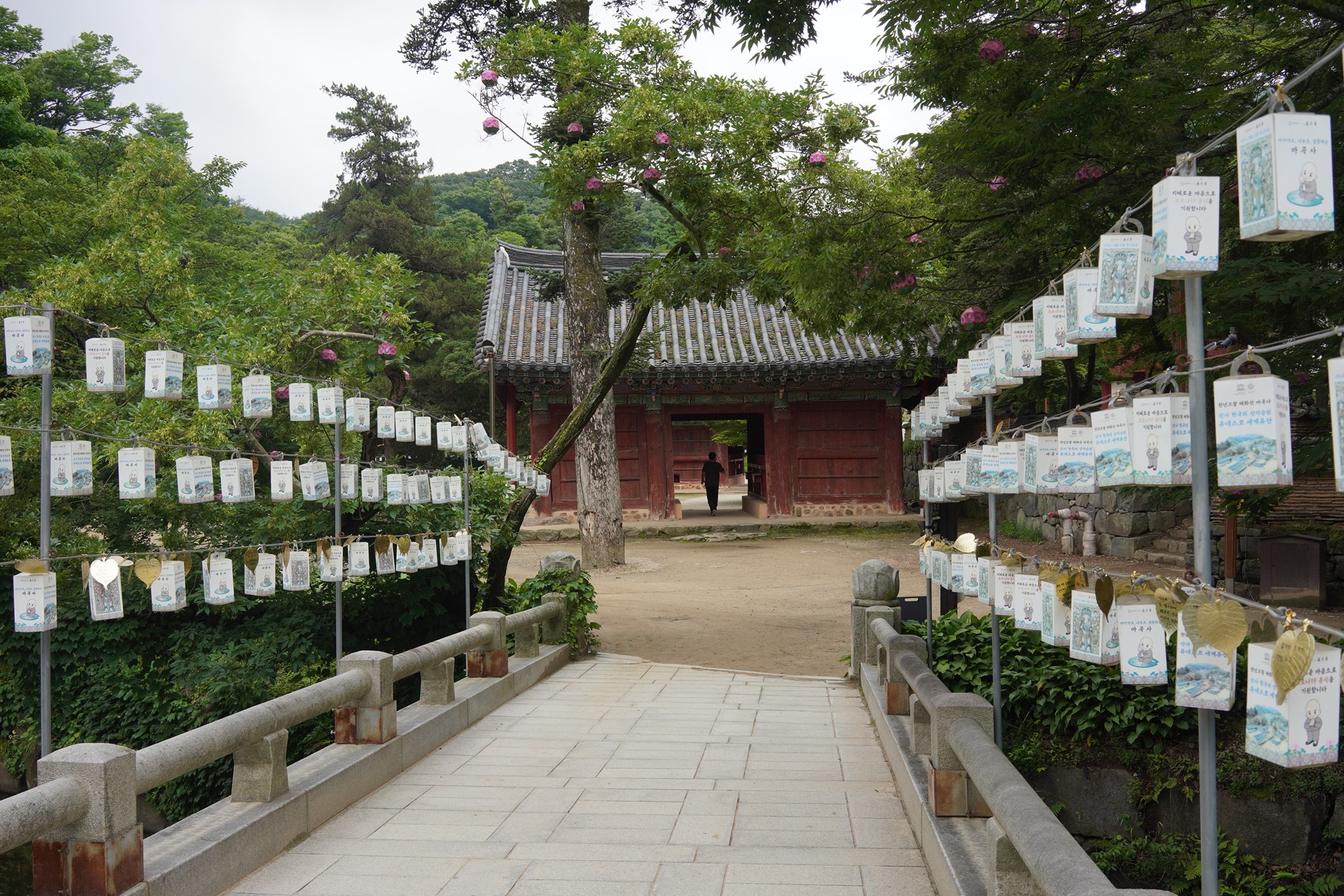 Magoksa Temple (30)