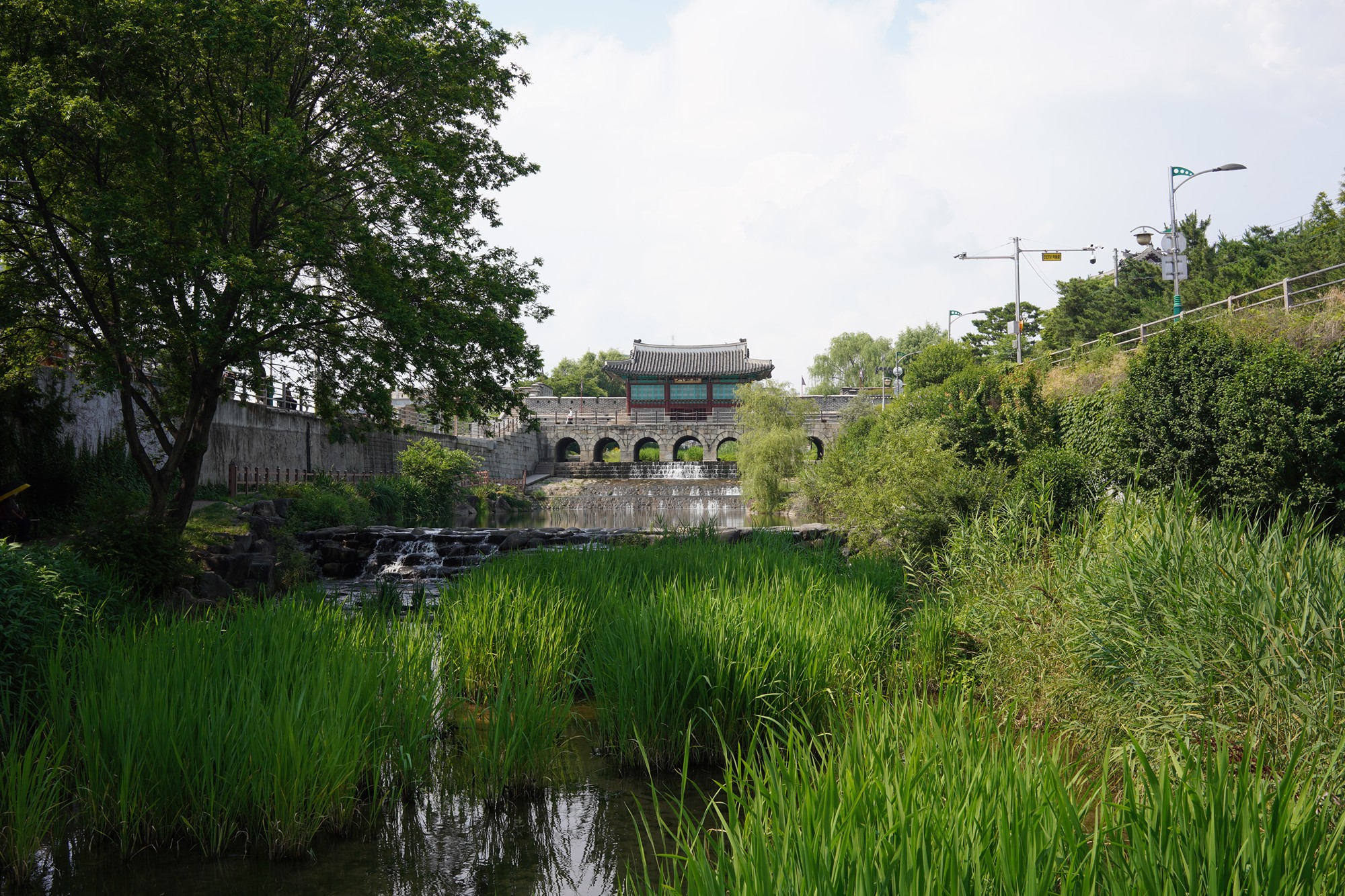 Suwon 1 (57)