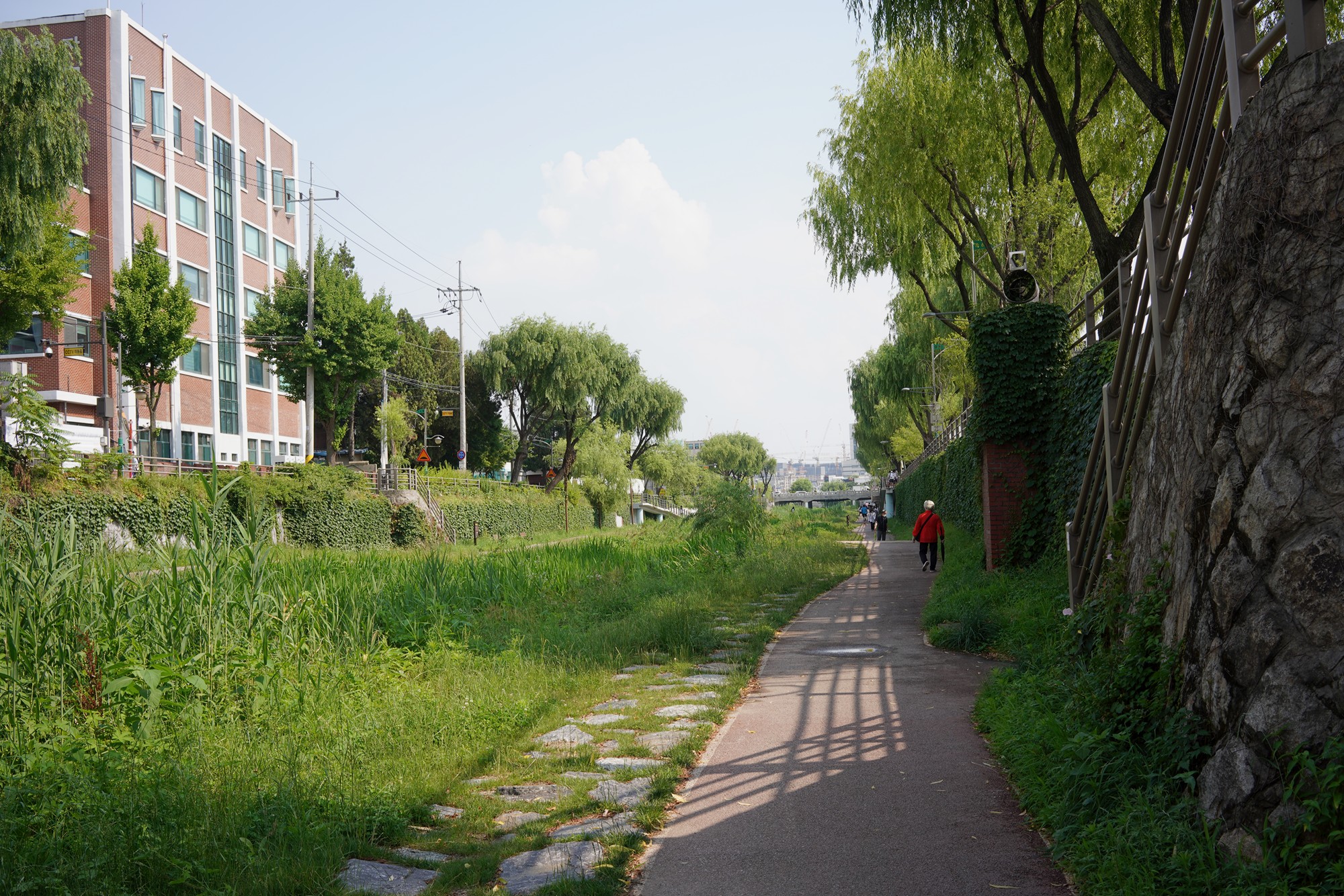 Suwon 1 (58)