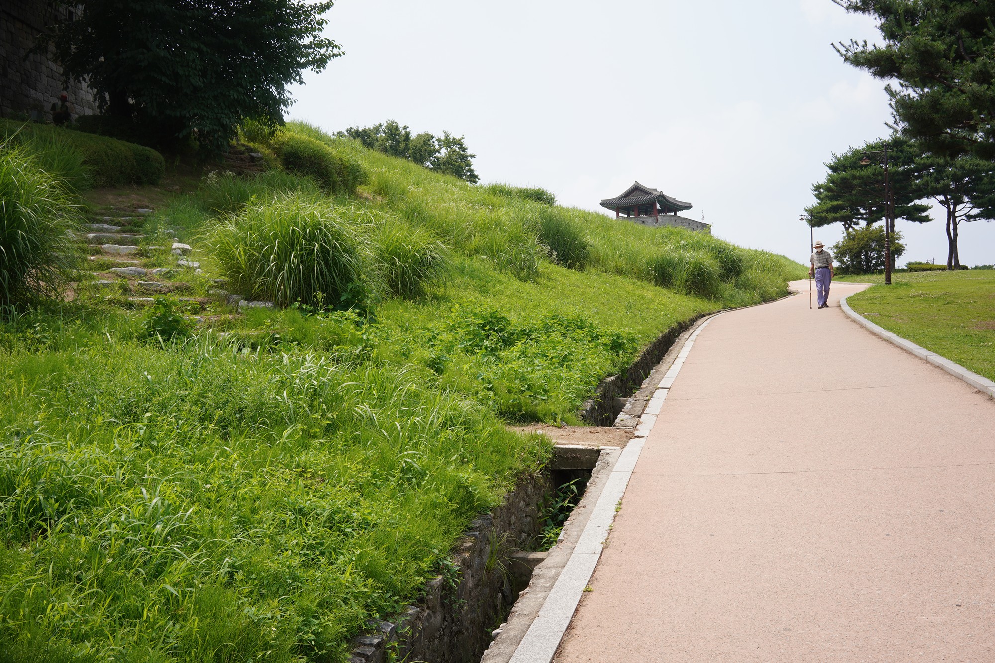 Suwon 2 (2)