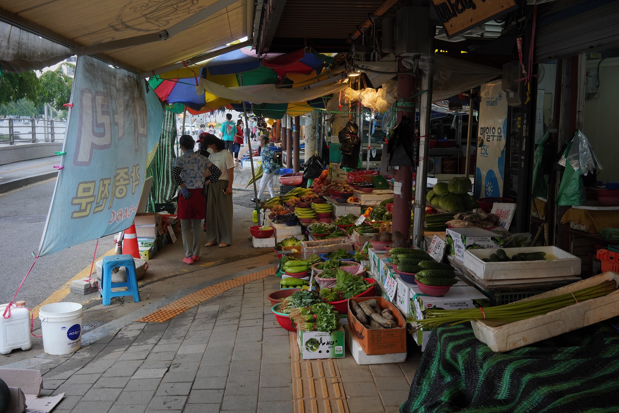 Suwon 2 (30)