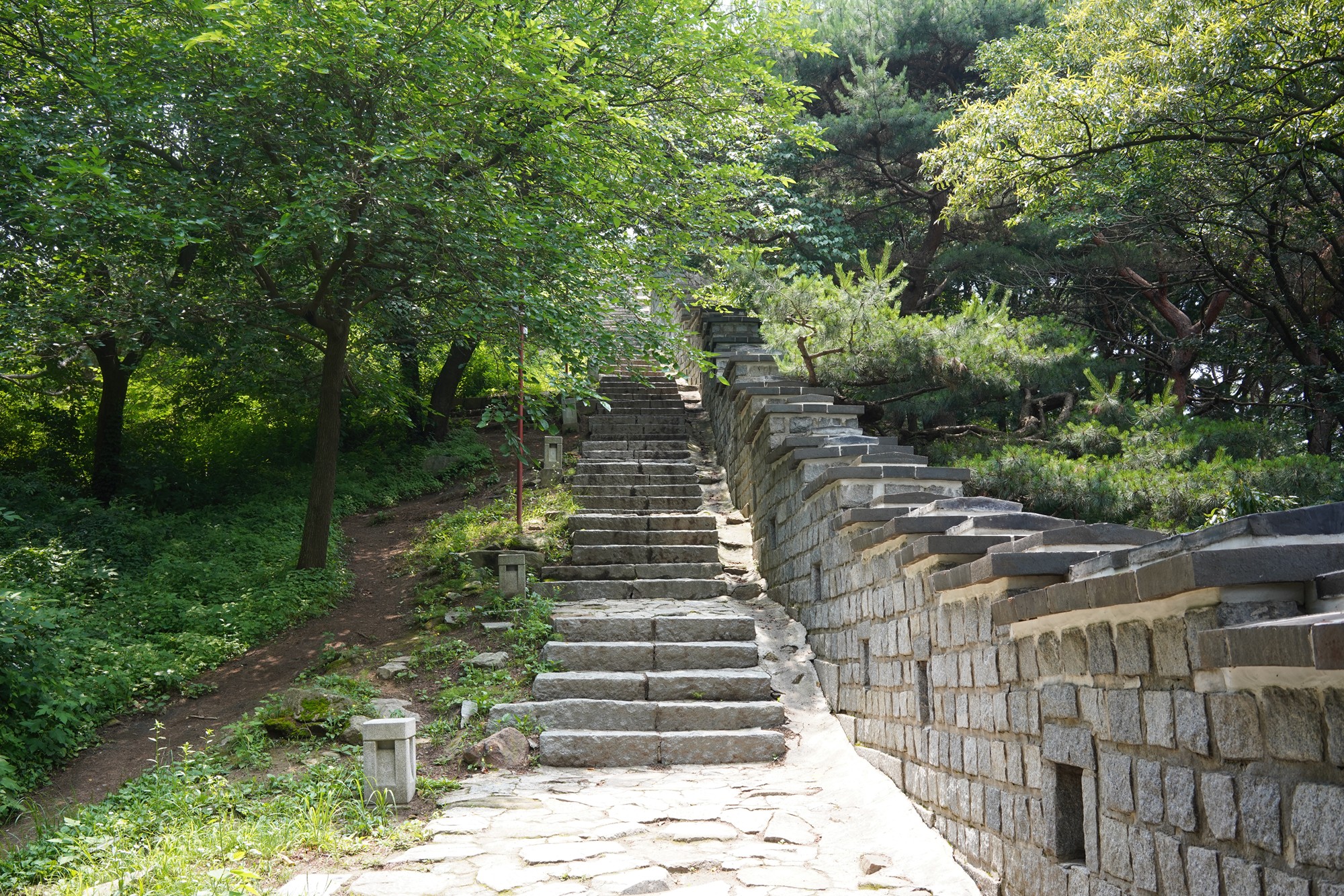 Suwon 2 (4)