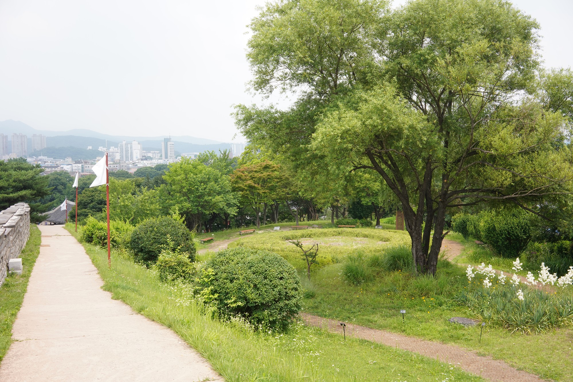 Suwon 2 (8)