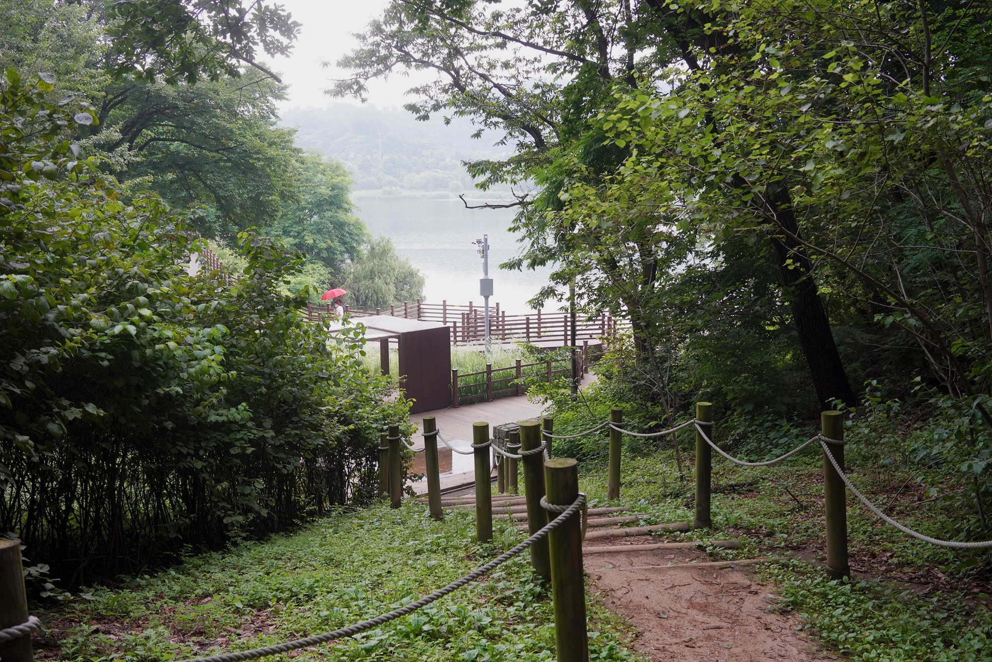 Suwon 3 (1)