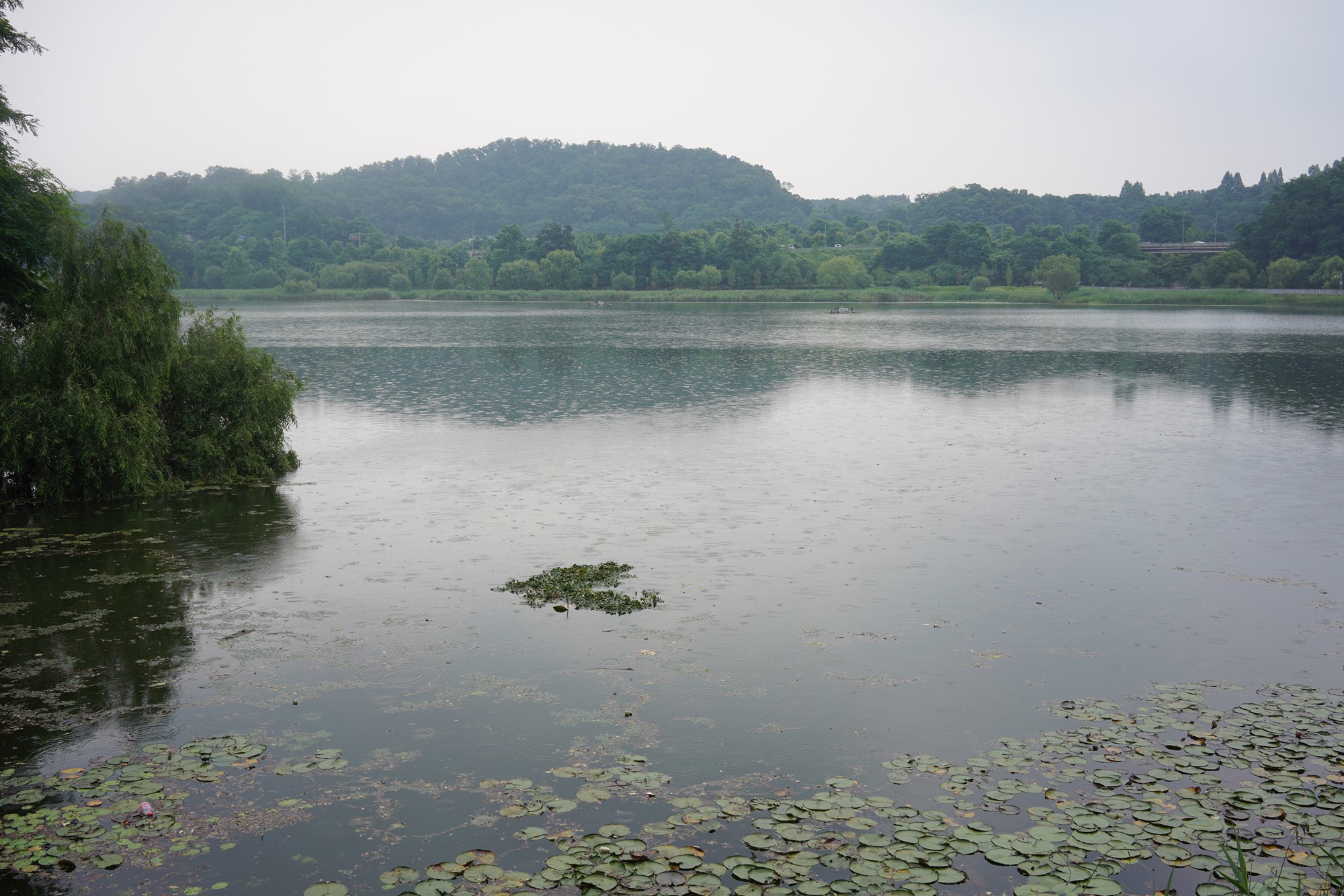 Suwon 3 (2)