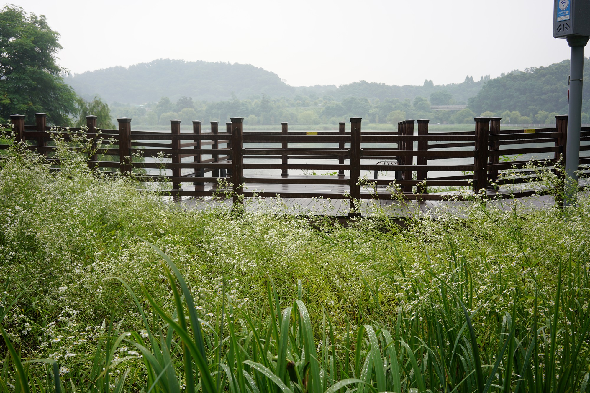 Suwon 3 (3)