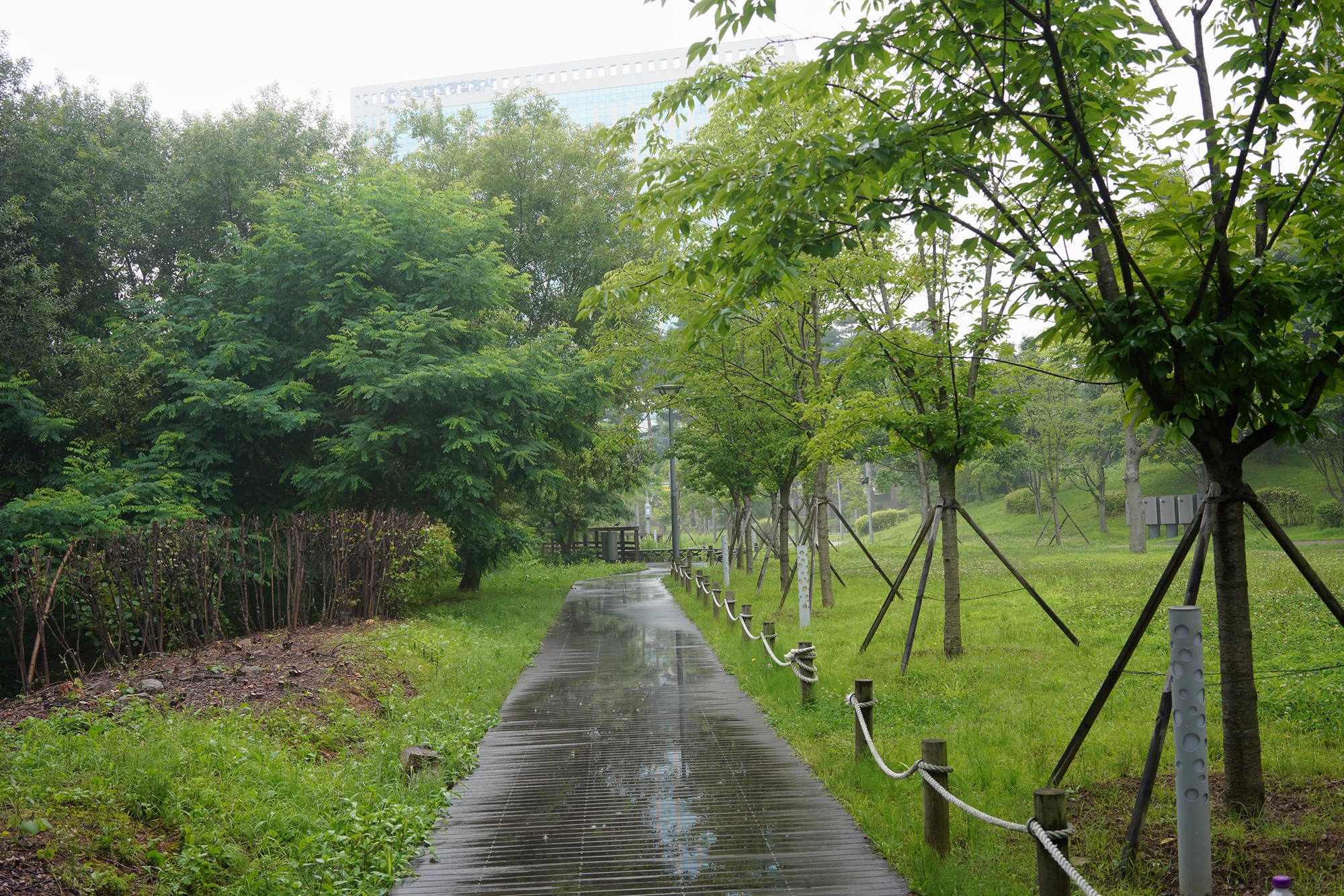 Suwon 3 (5)