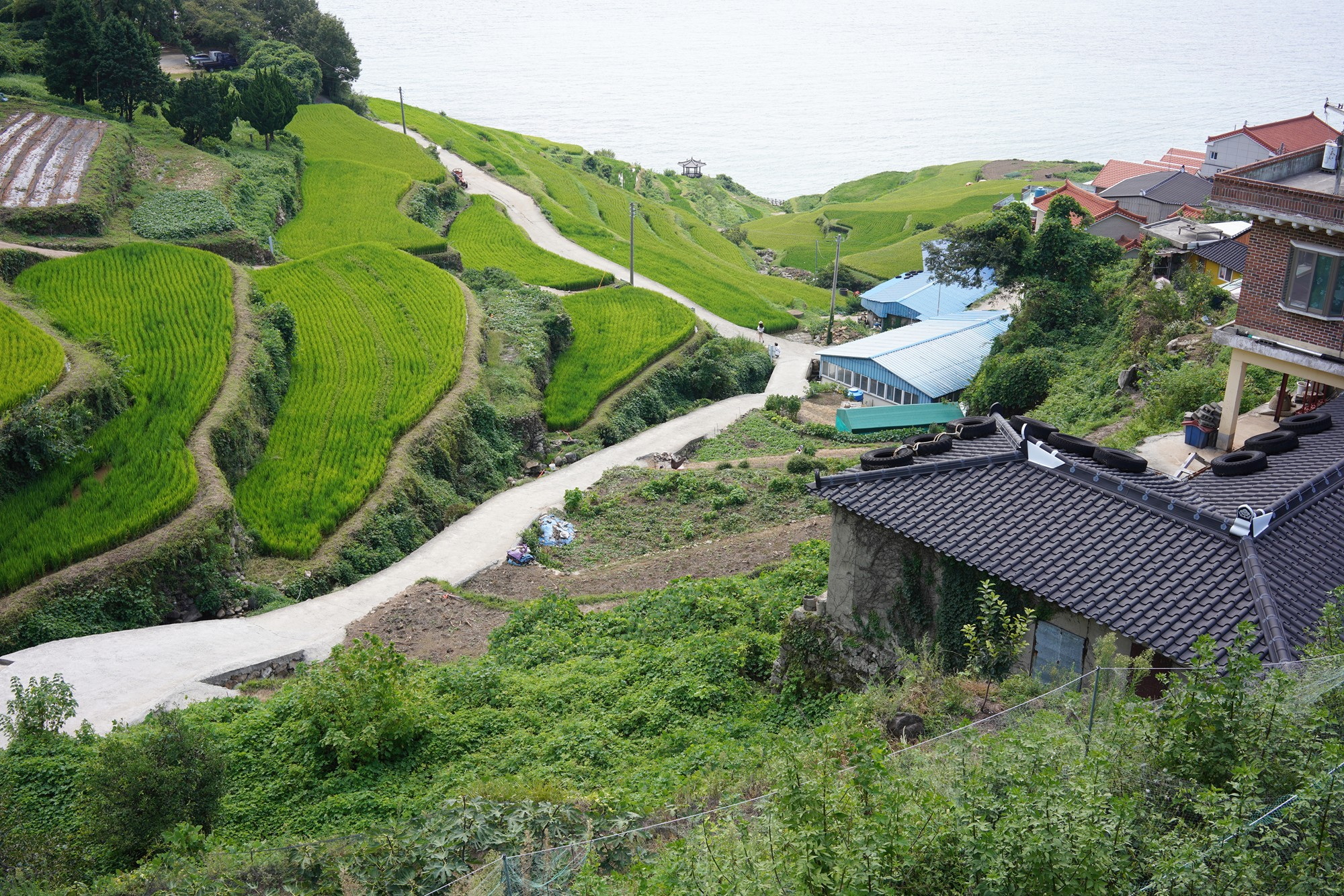 Namhae 1 (1)