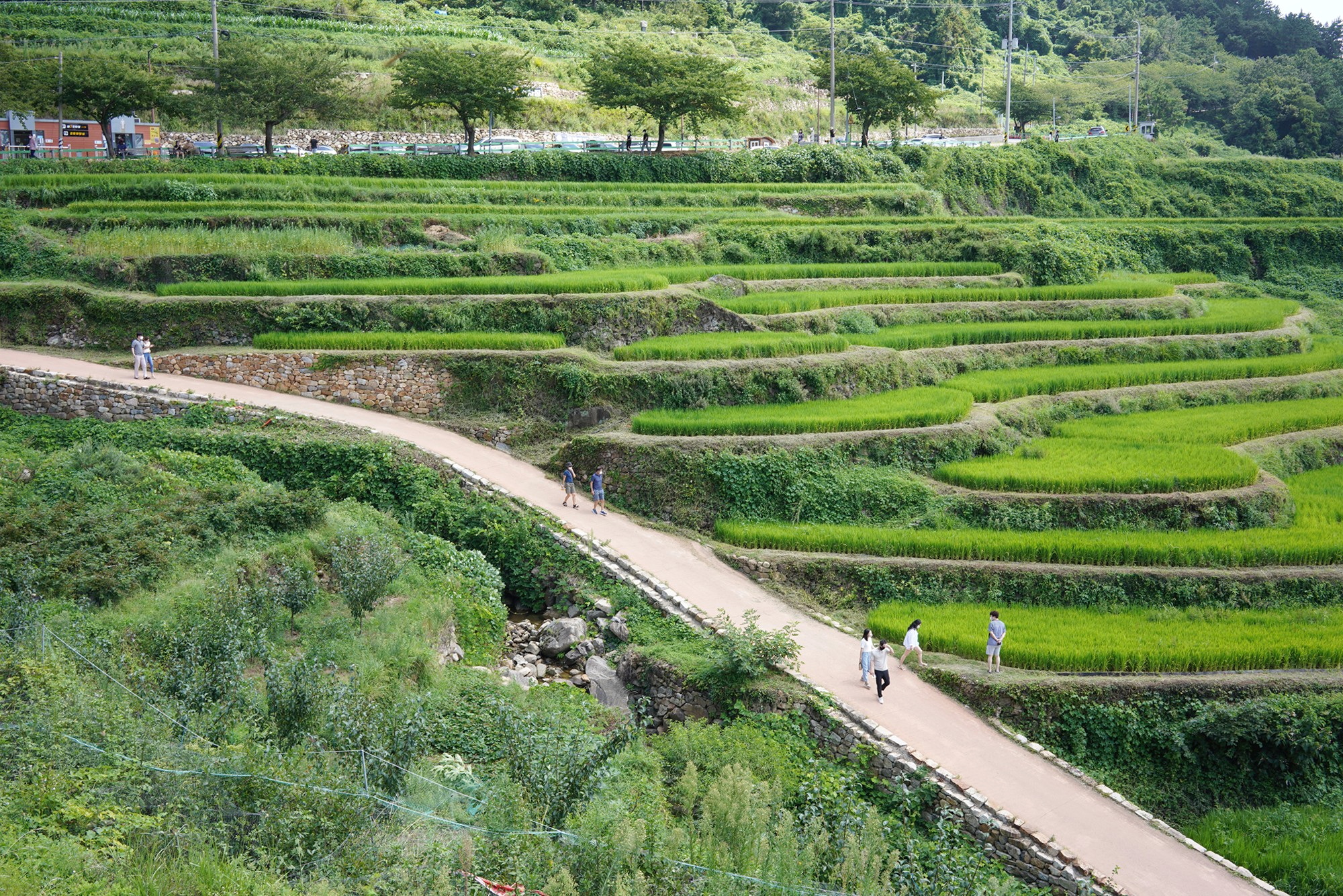 Namhae 1 (2)
