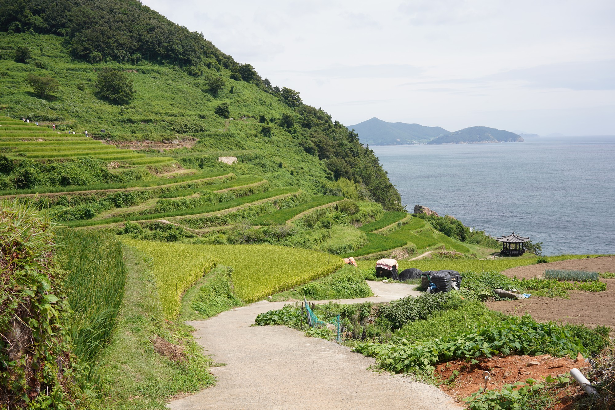 Namhae 1 (21)