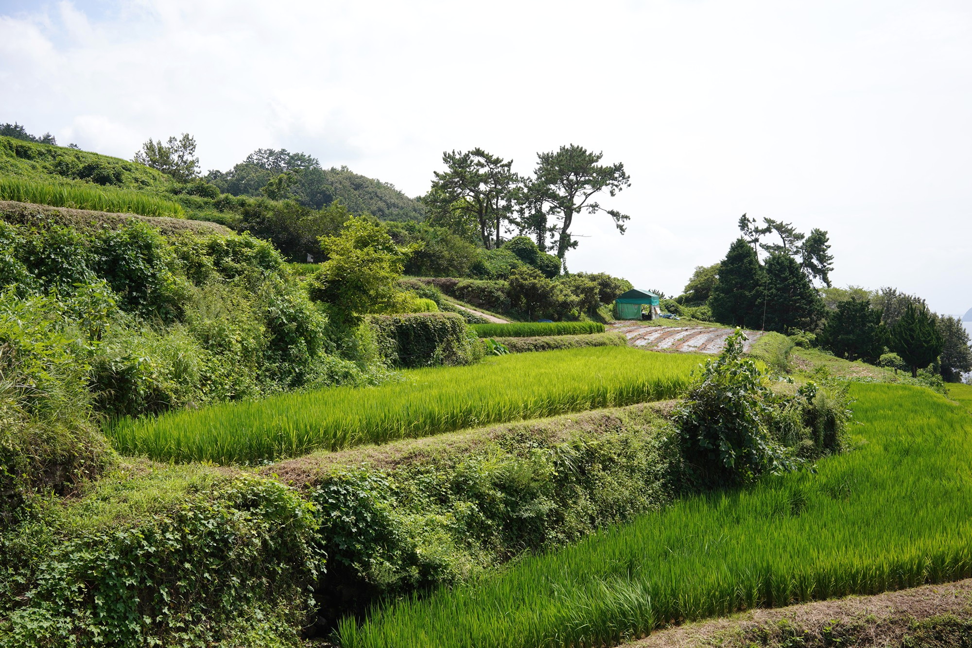 Namhae 1 (3)