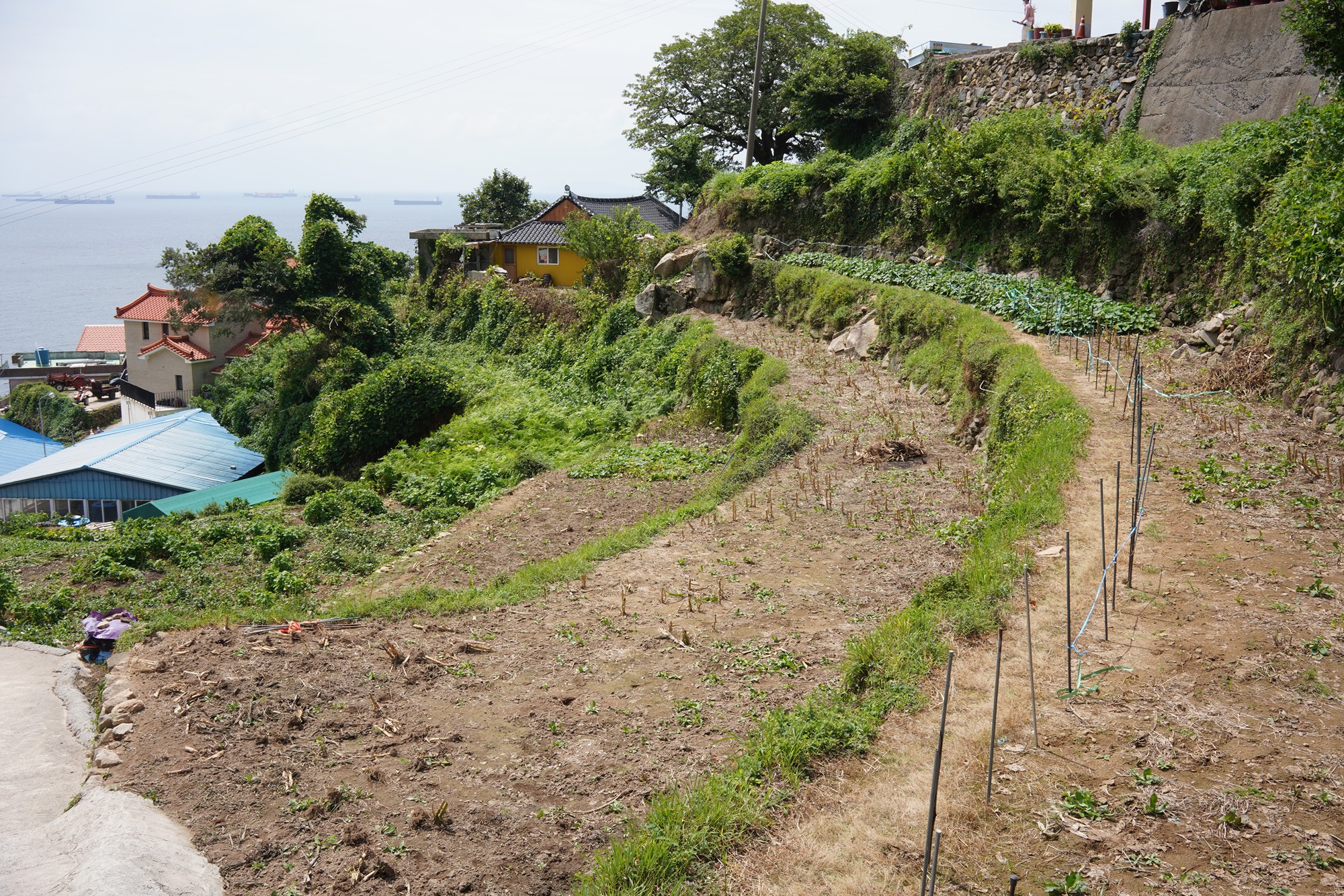 Namhae 1 (4)