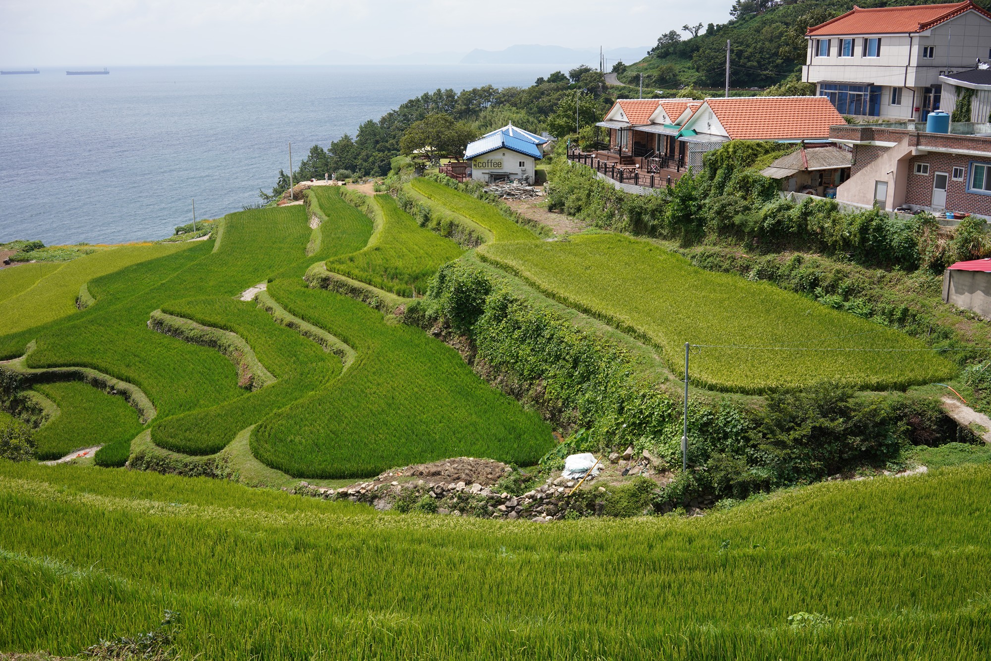 Namhae 1 (5)