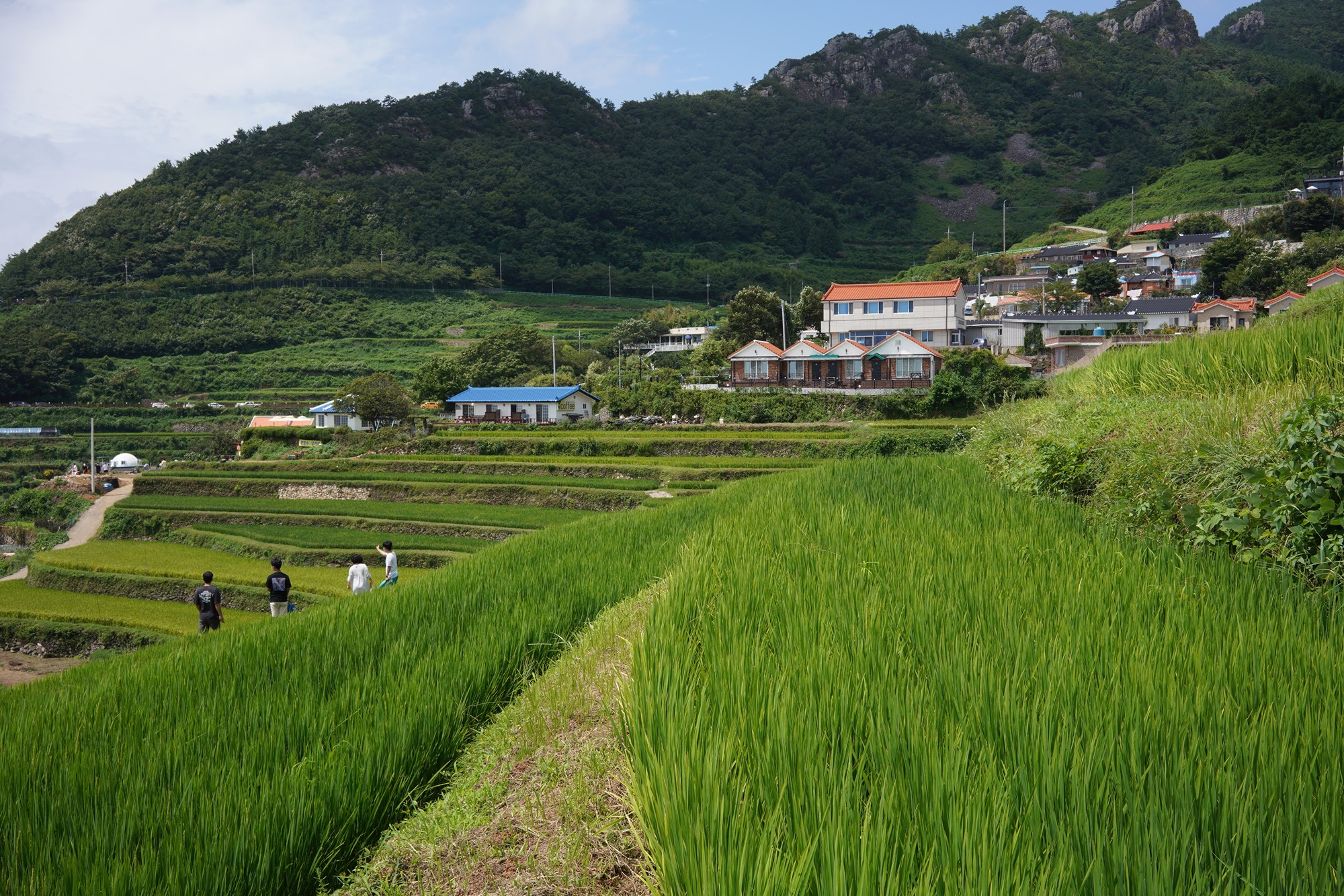 Namhae 1 (7)