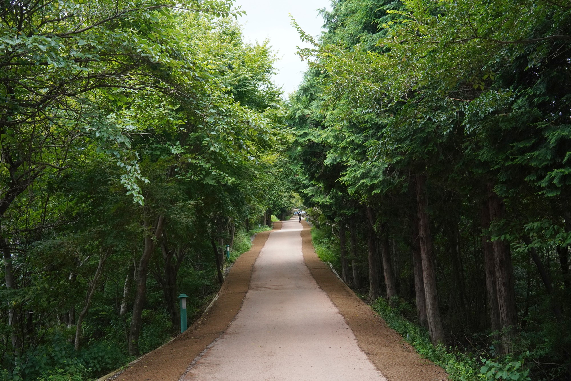 Namhae 3 (1)