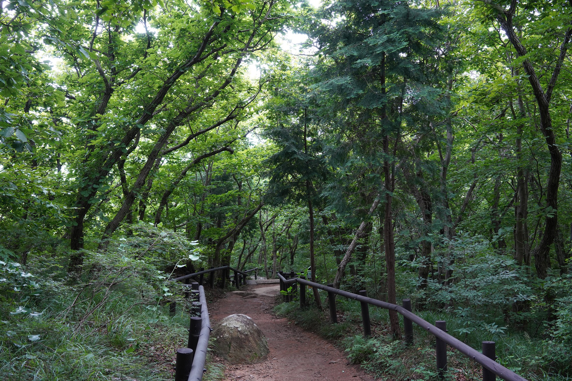 Namhae 3 (21)