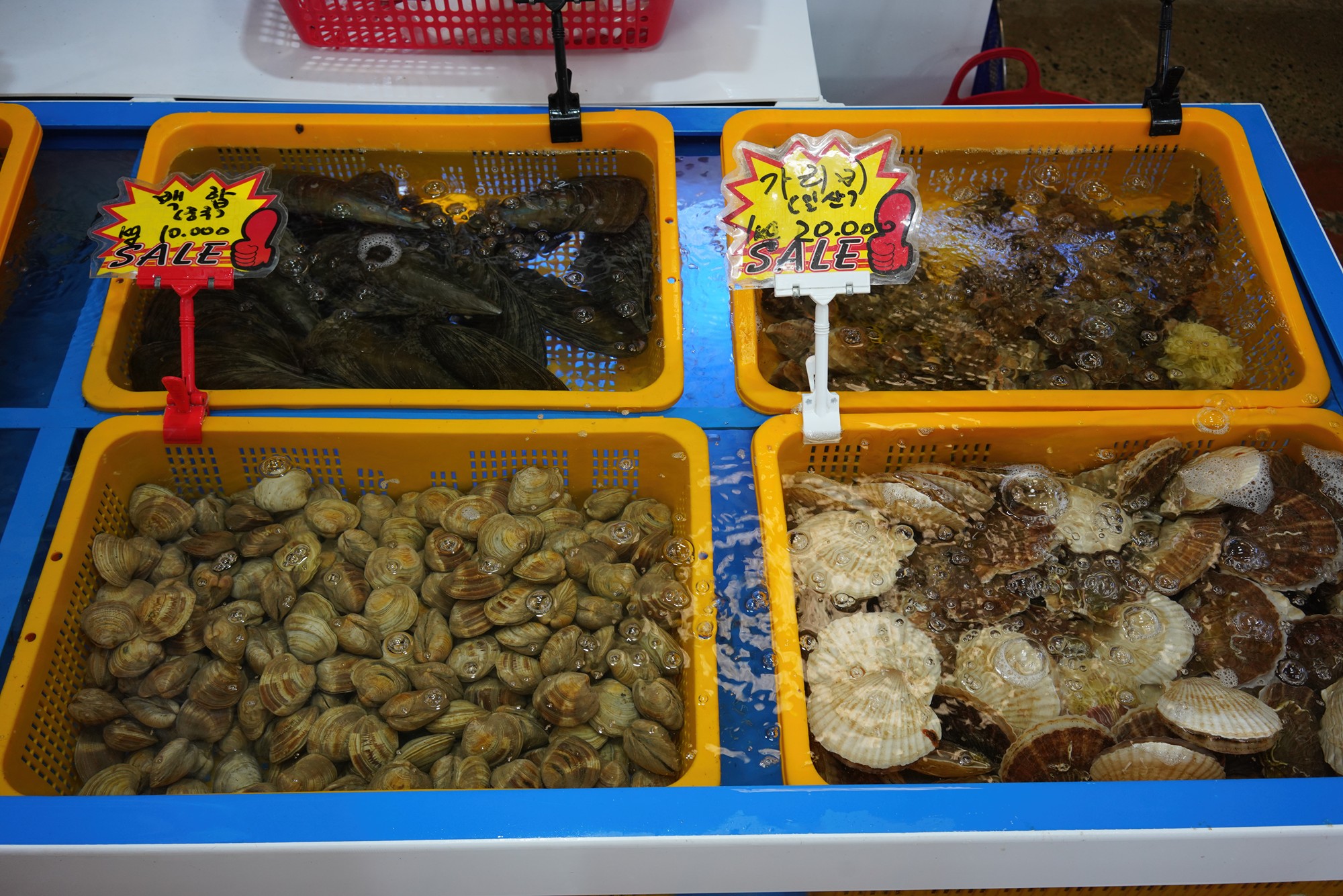 Namhae 4 (13)
