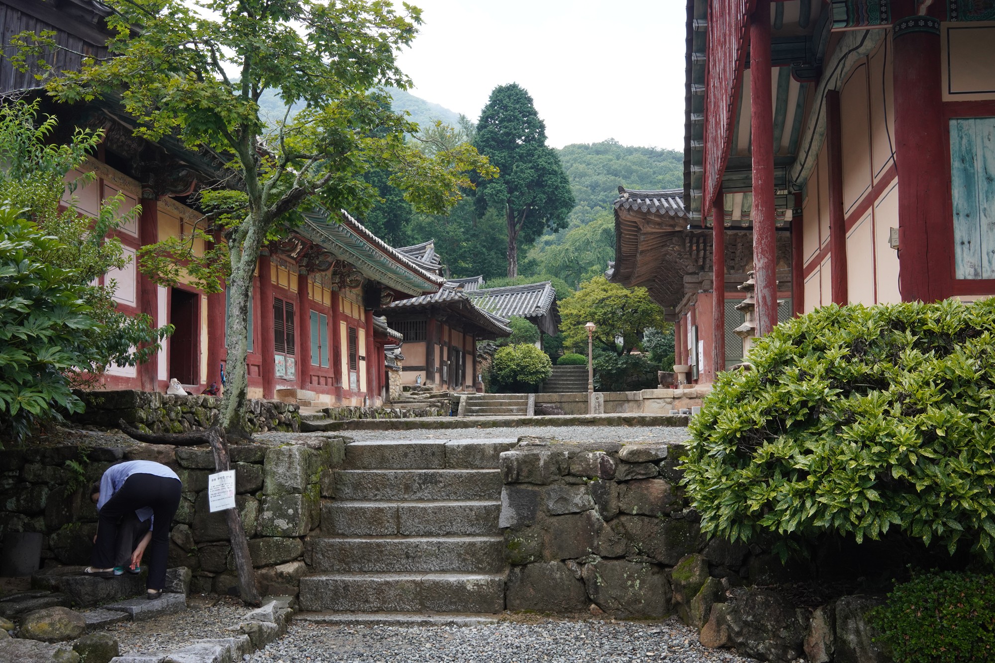 Sunamsa (10)