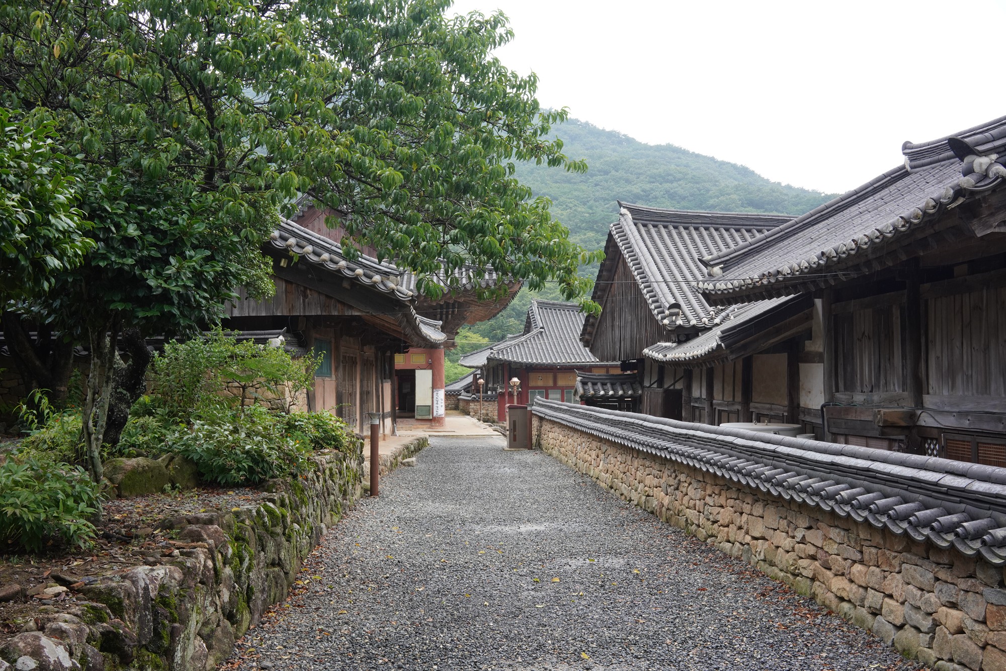 Sunamsa (16)