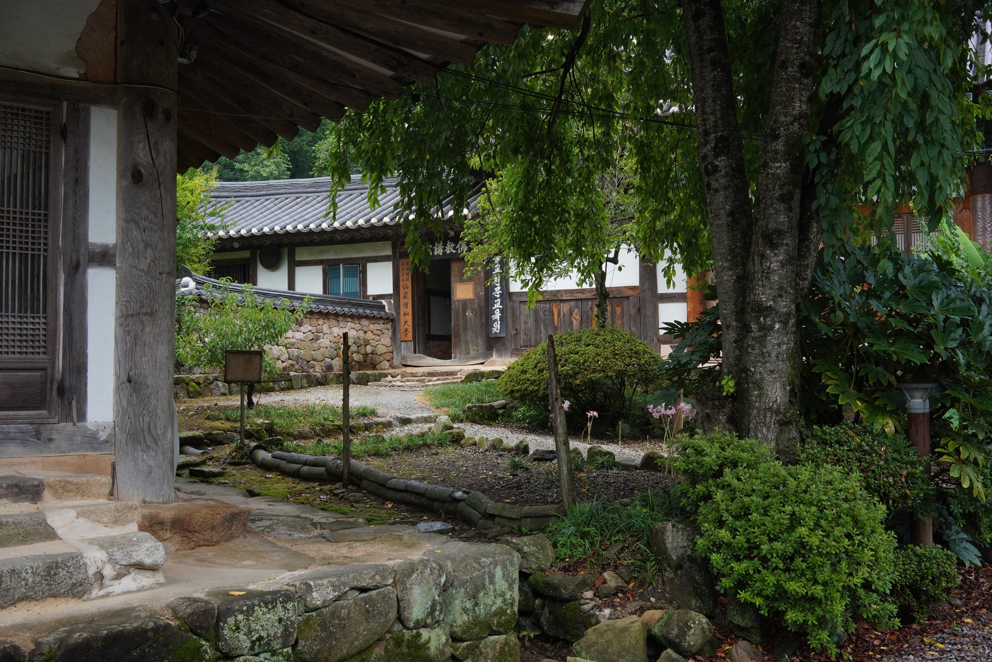 Sunamsa (17)