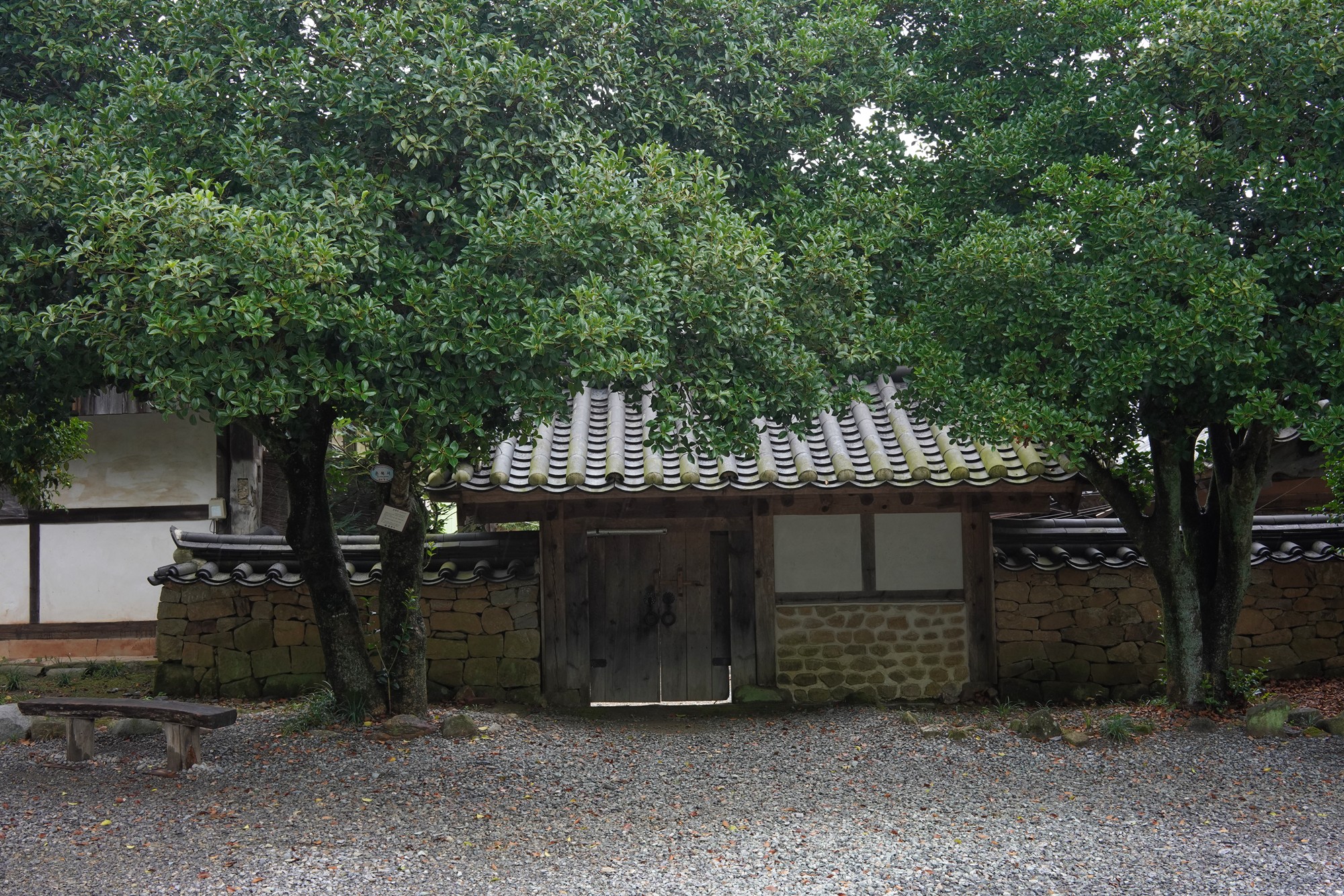 Sunamsa (20)