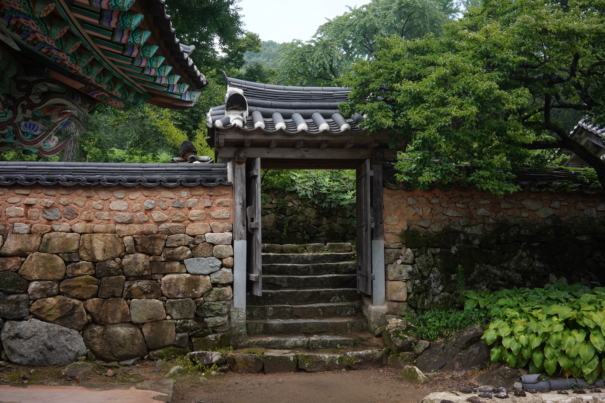 Sunamsa (25)