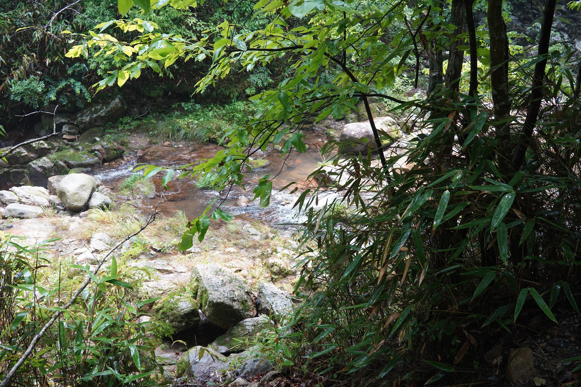 Sunamsa (3)