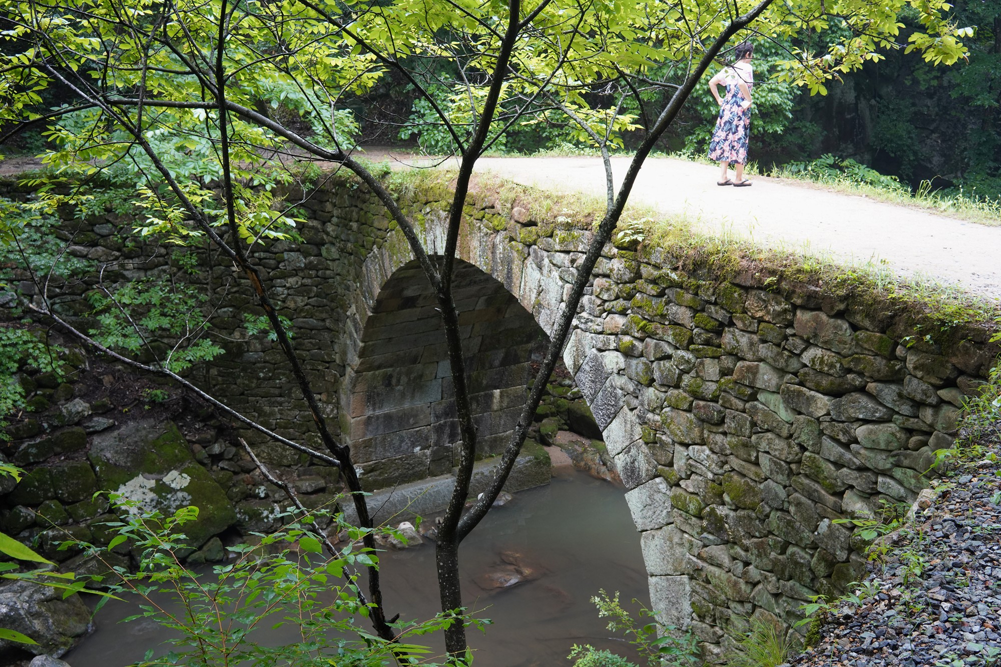 Sunamsa (4)