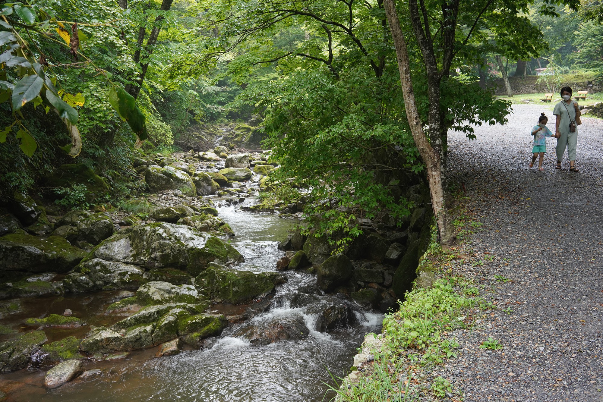 Sunamsa (5)
