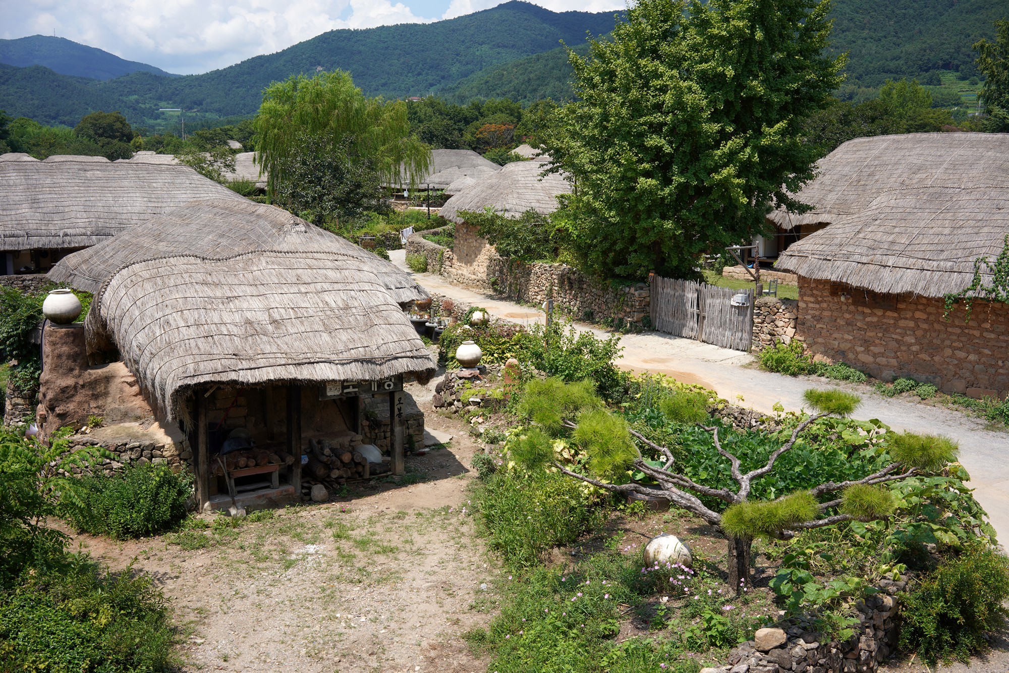 Suncheon (11)