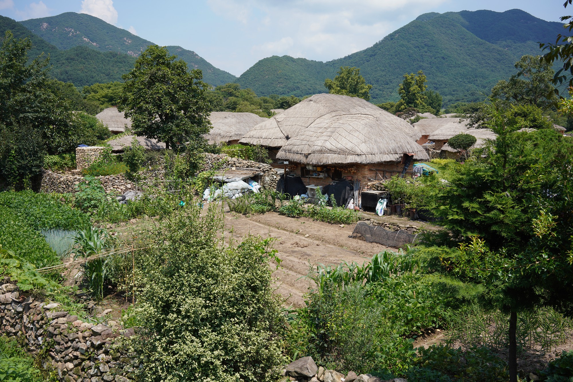 Suncheon (15)