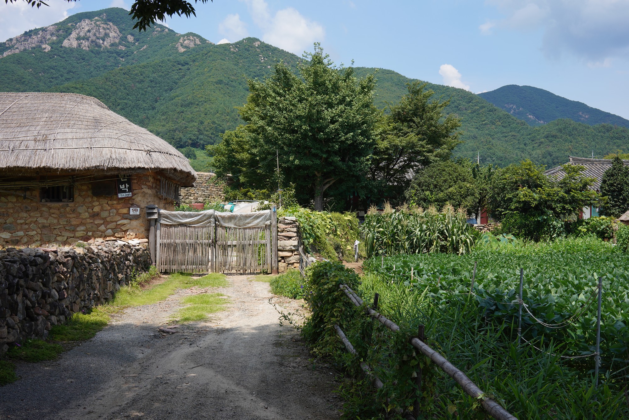Suncheon (17)