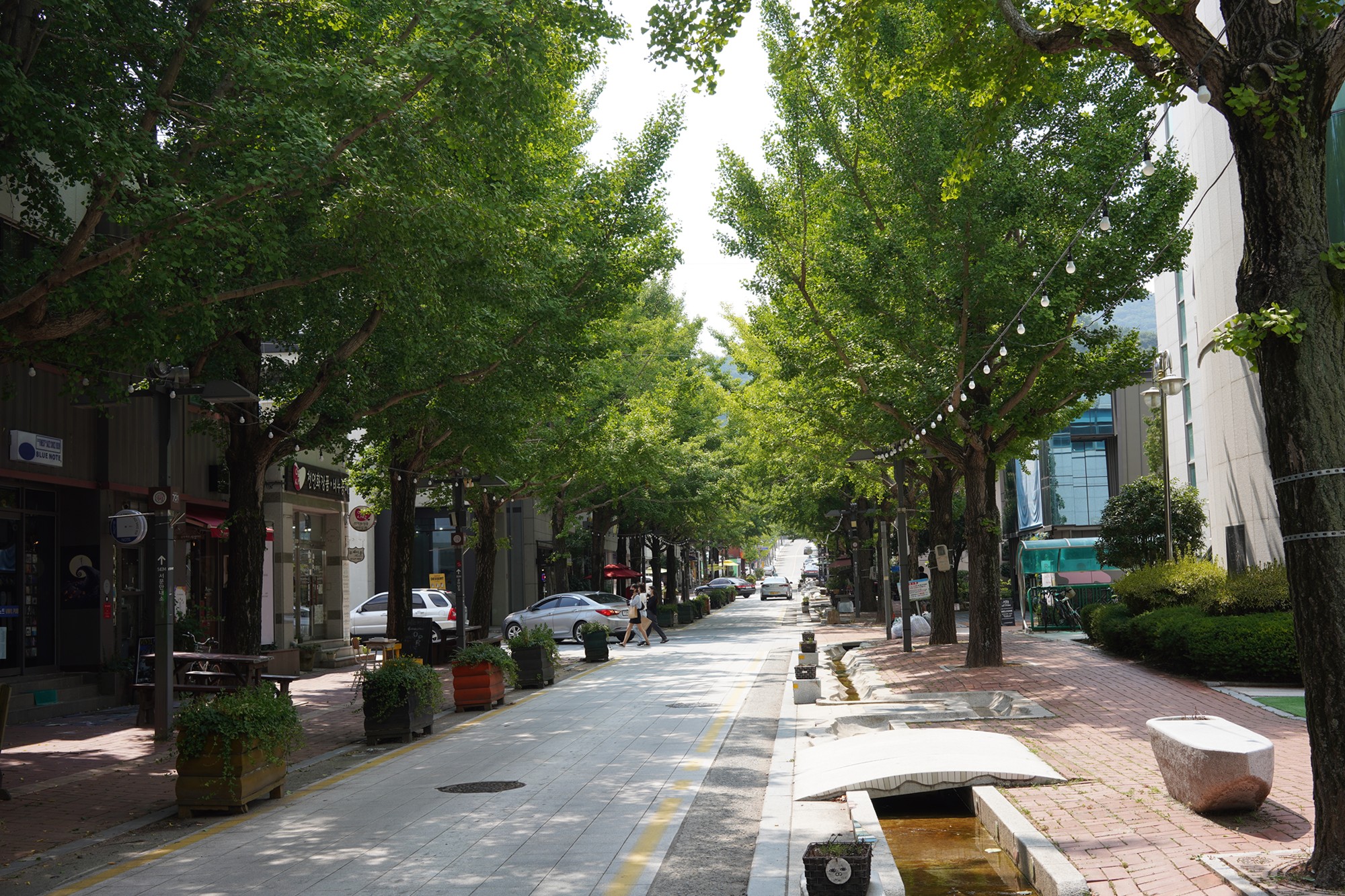 Suncheon 2 (10)
