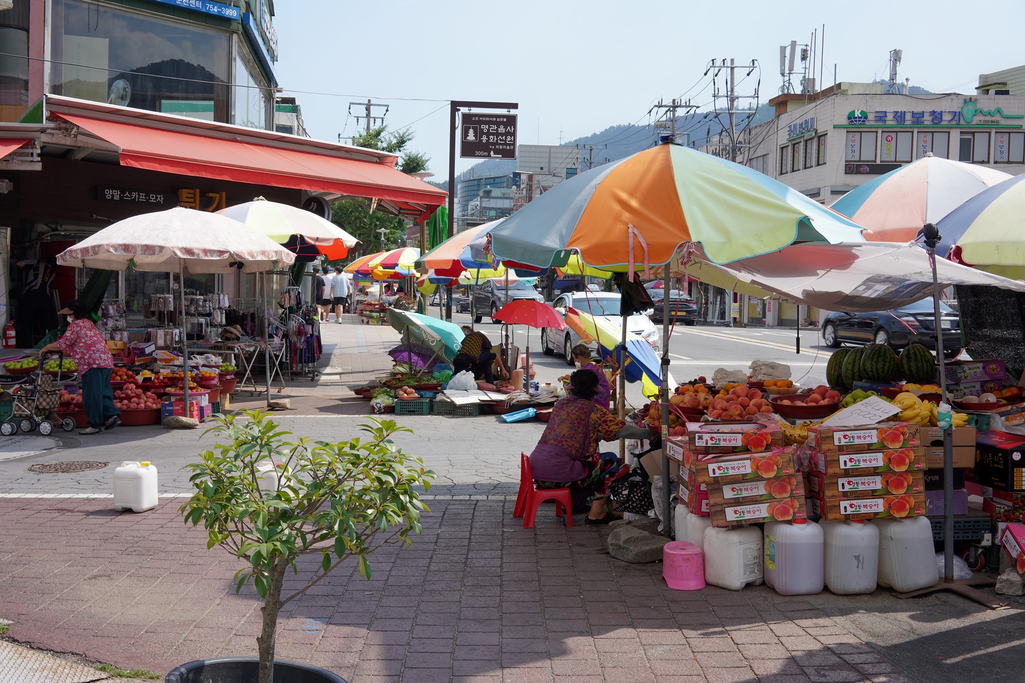 Suncheon 2 (16)