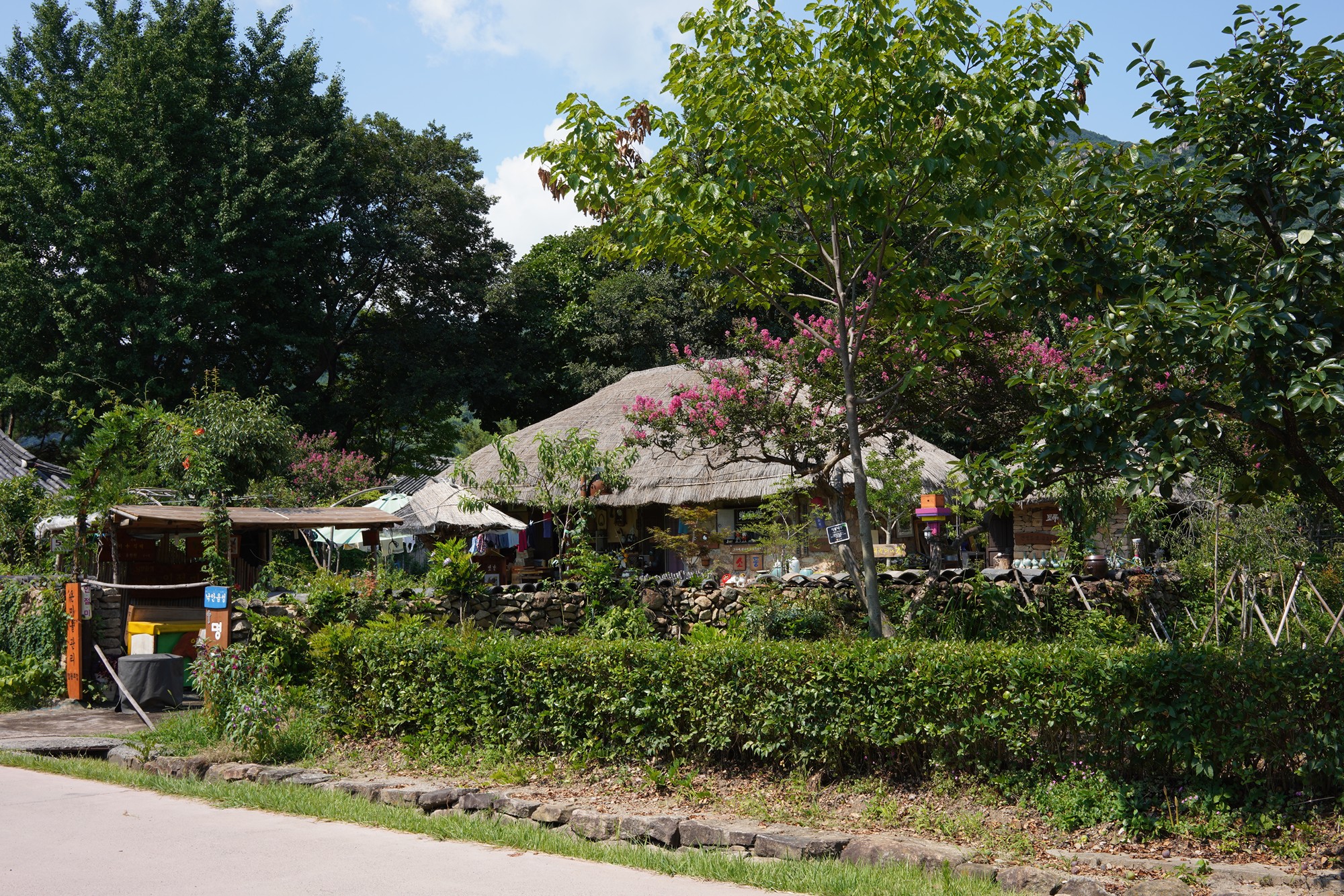 Suncheon (26)