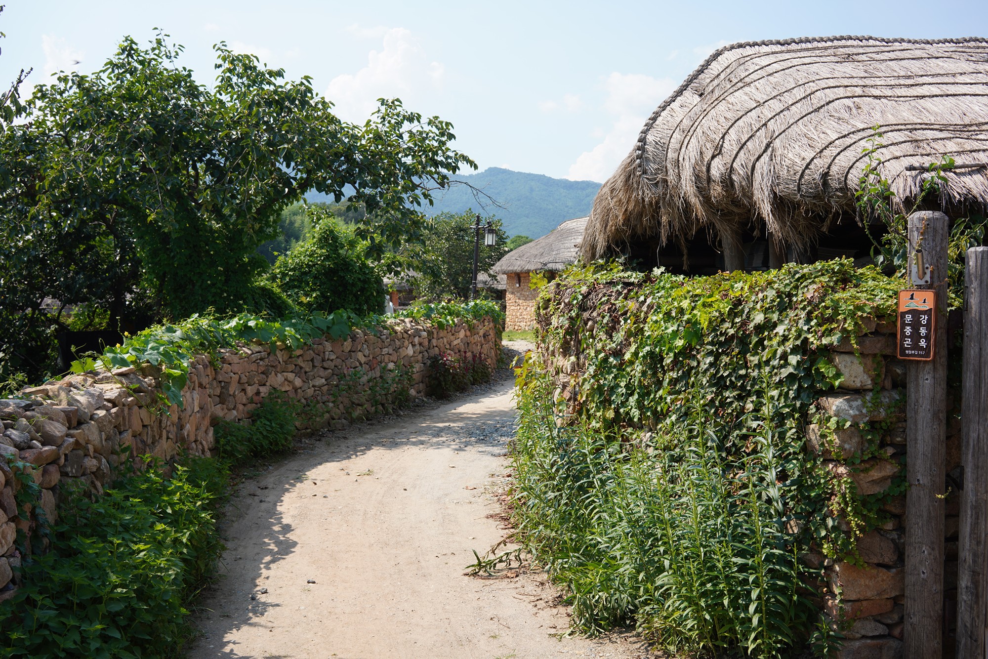 Suncheon (28)