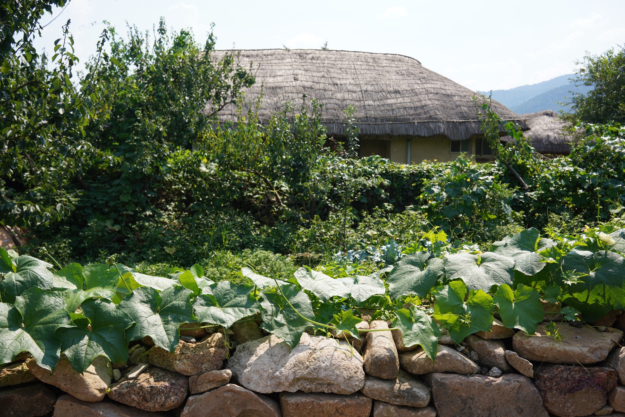 Suncheon (30)