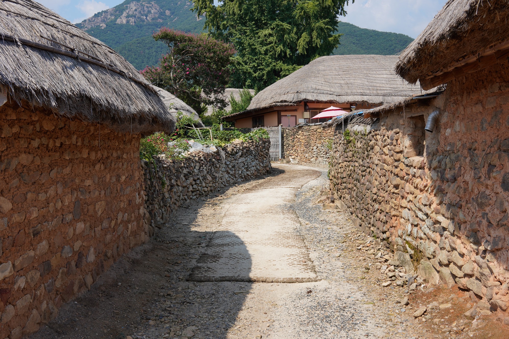 Suncheon (31)