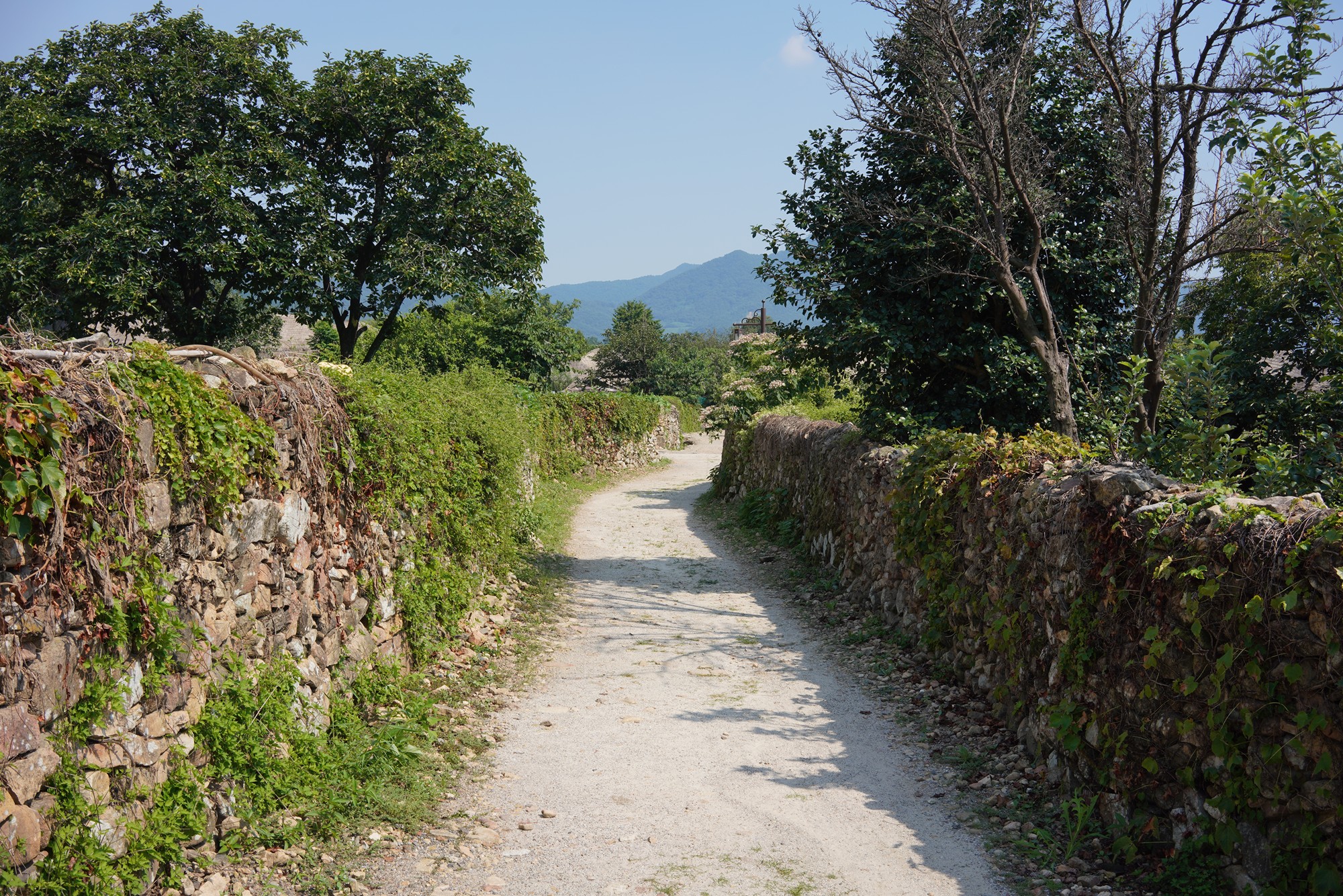 Suncheon (36)