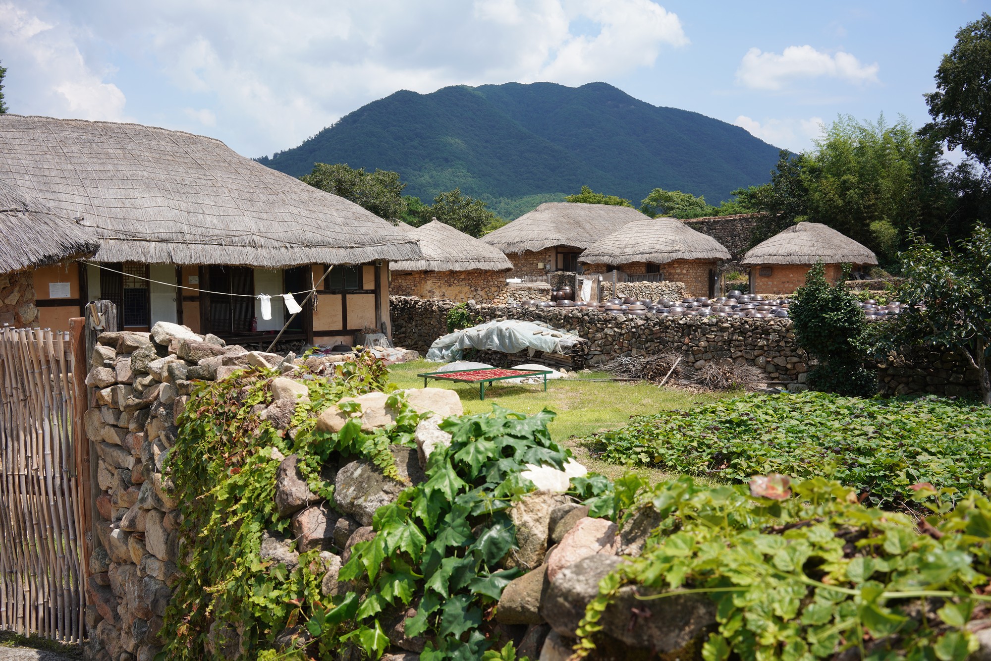 Suncheon (6)