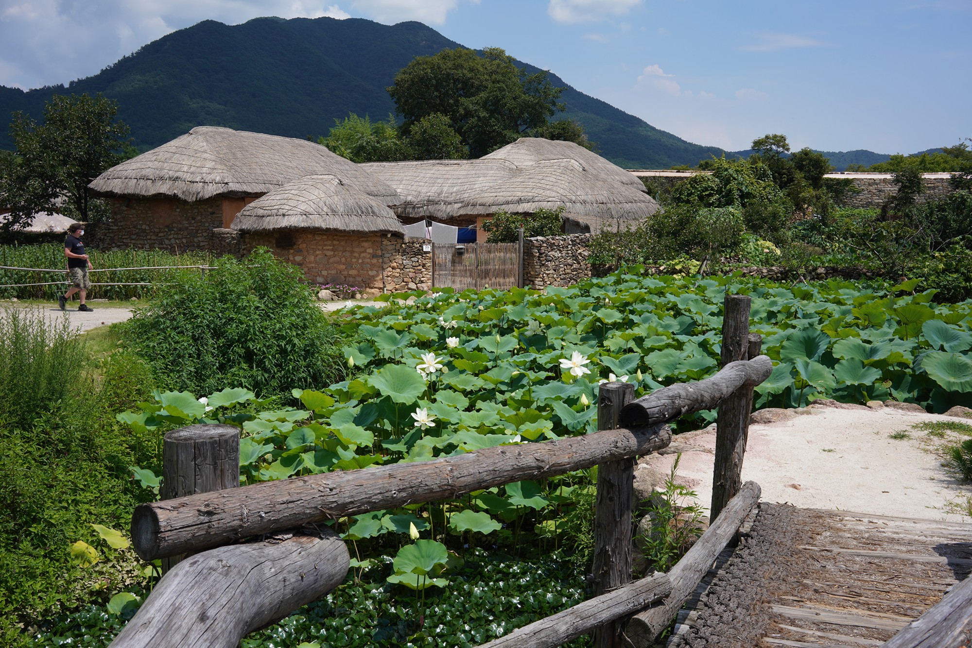 Suncheon (7)