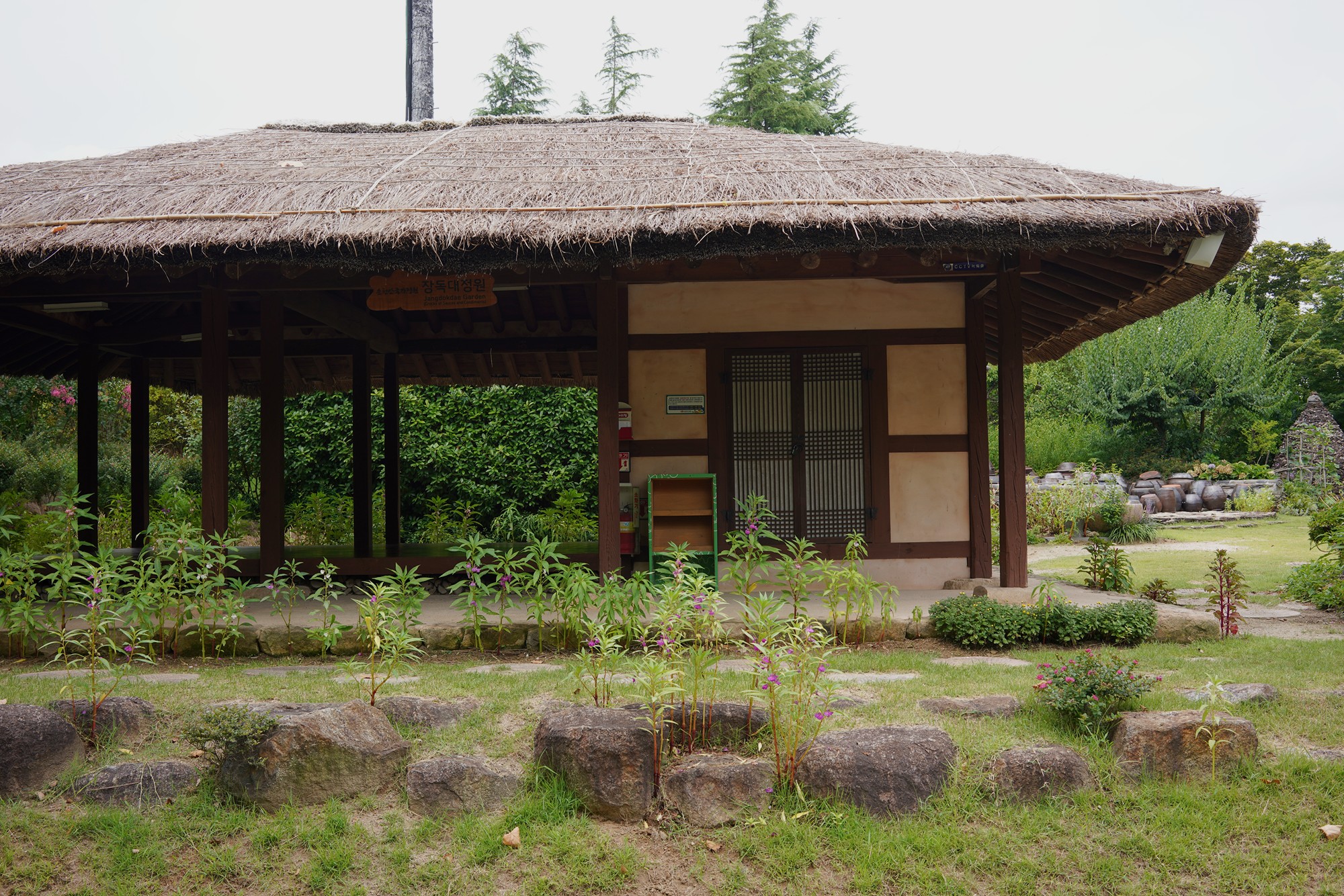Suncheonman Bay Wetland (14)
