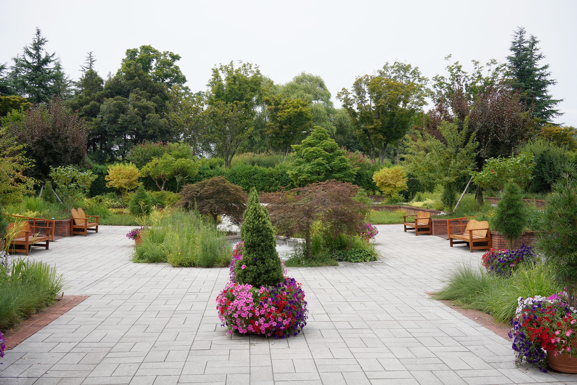 Suncheonman Bay Wetland (15)