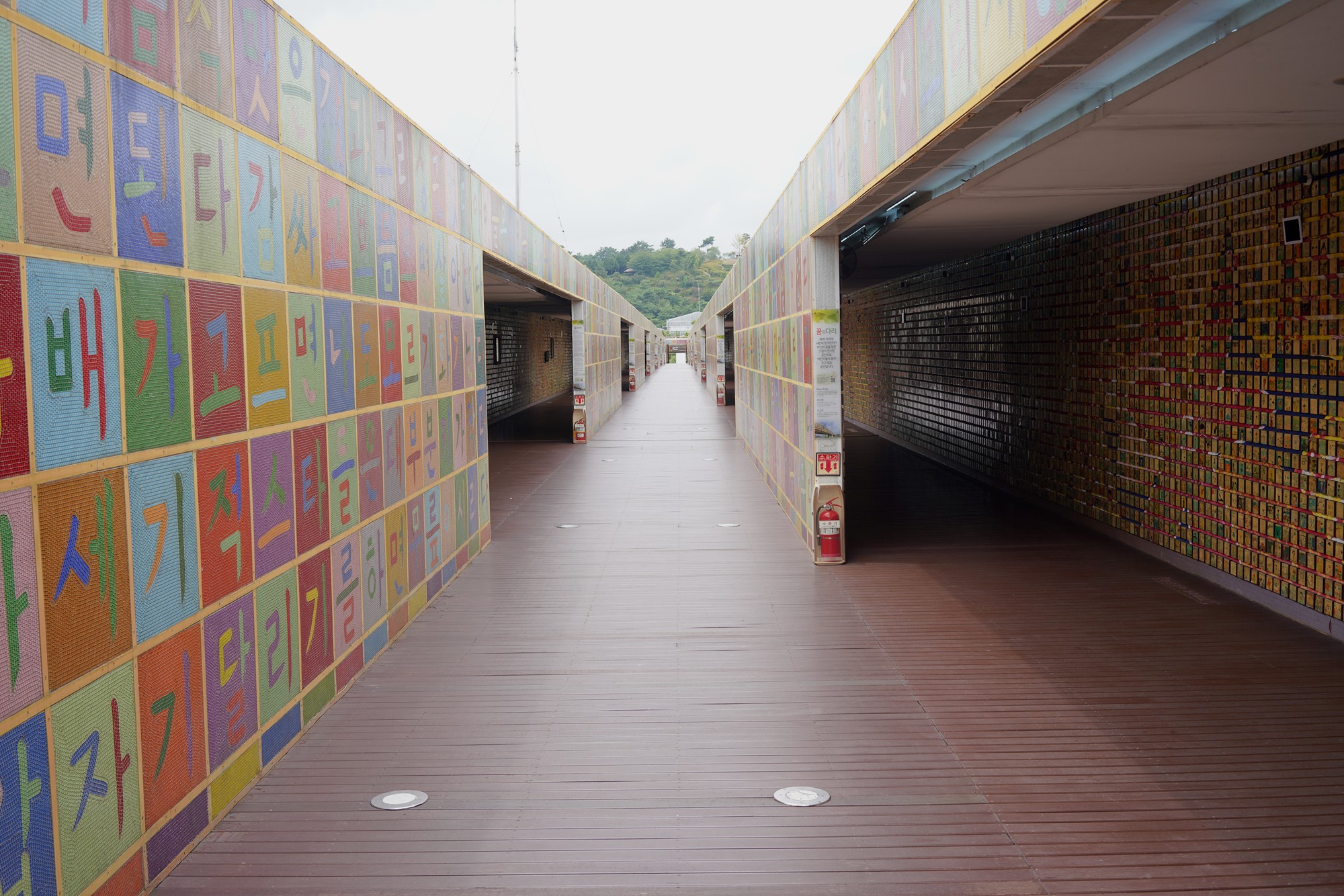 Suncheonman Bay Wetland (20)