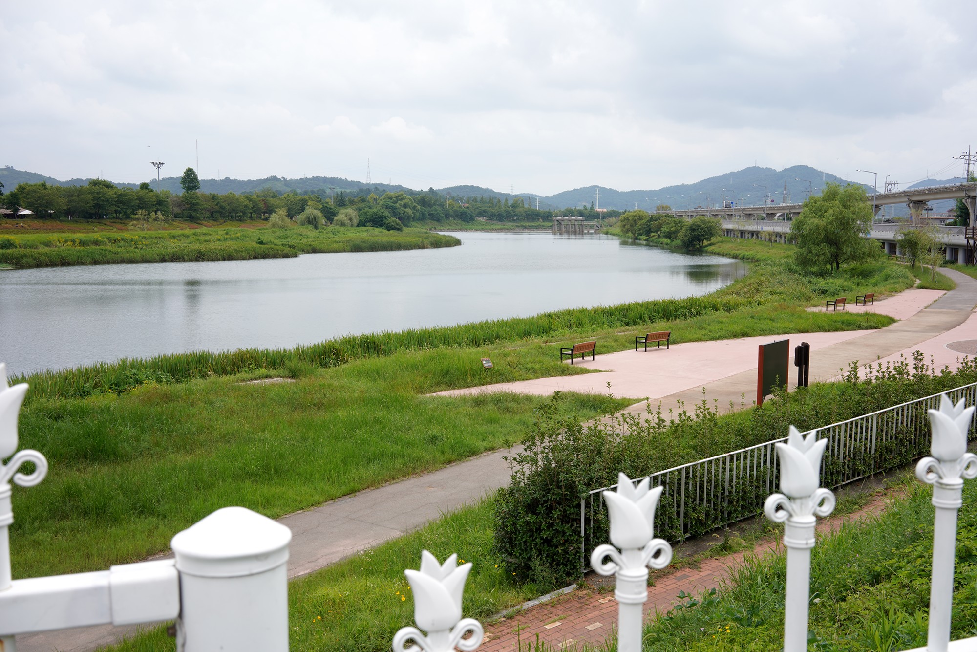 Suncheonman Bay Wetland (21)