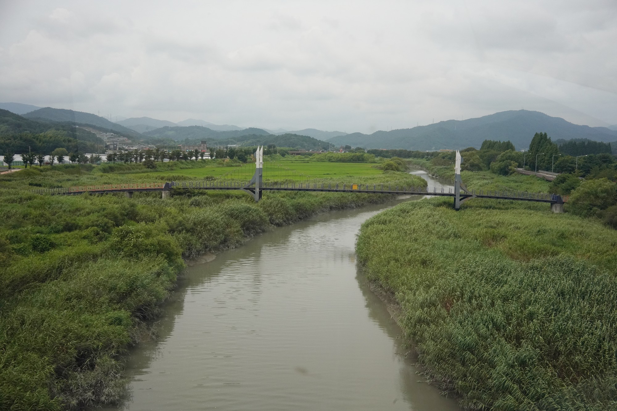 Suncheonman Bay Wetland (24)