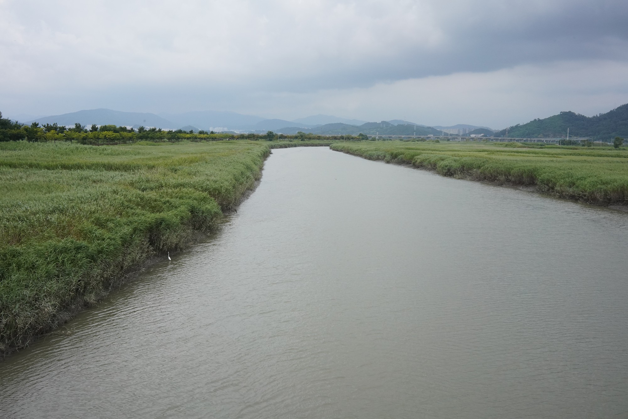 Suncheonman Bay Wetland (27)