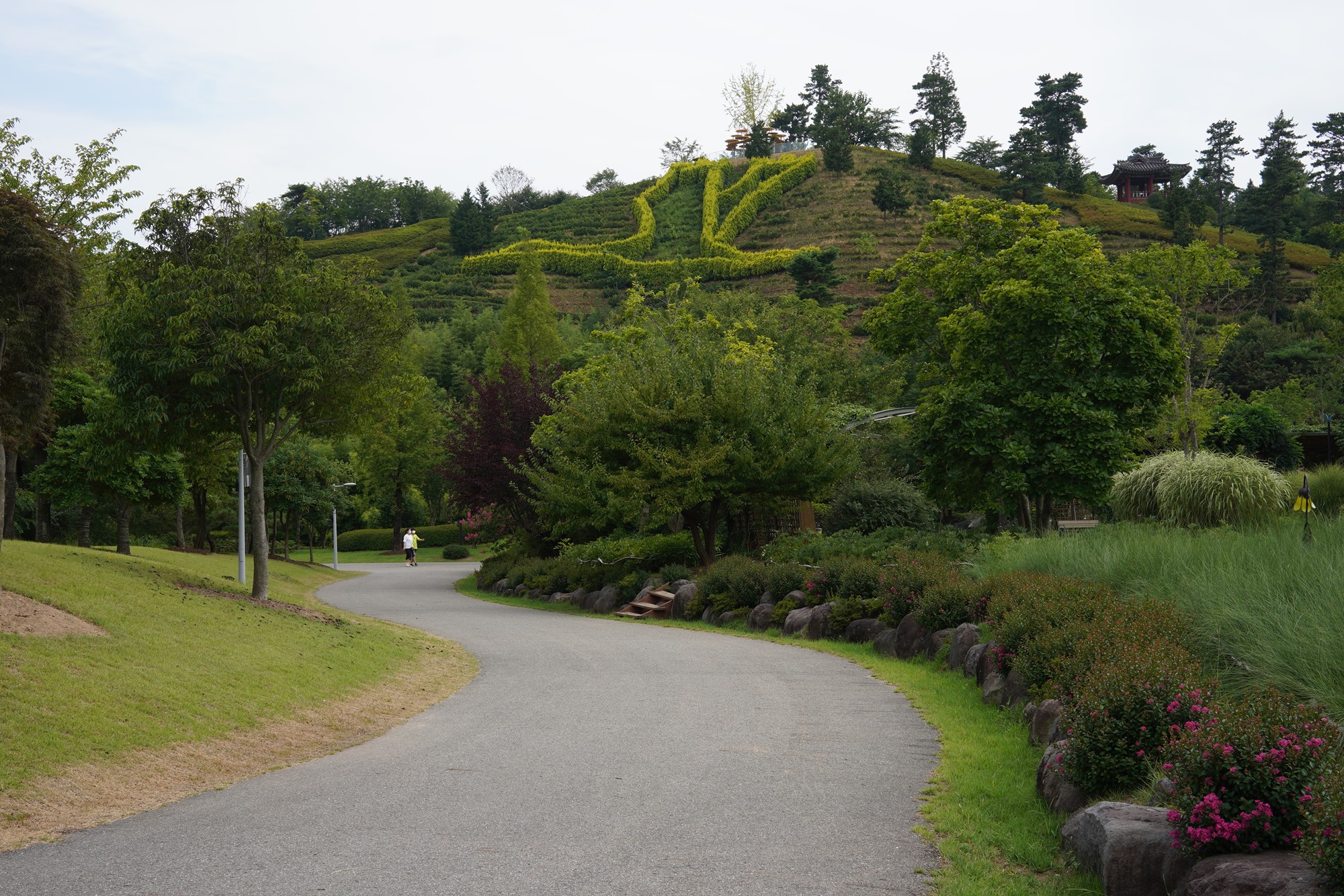 Suncheonman Bay Wetland (36)