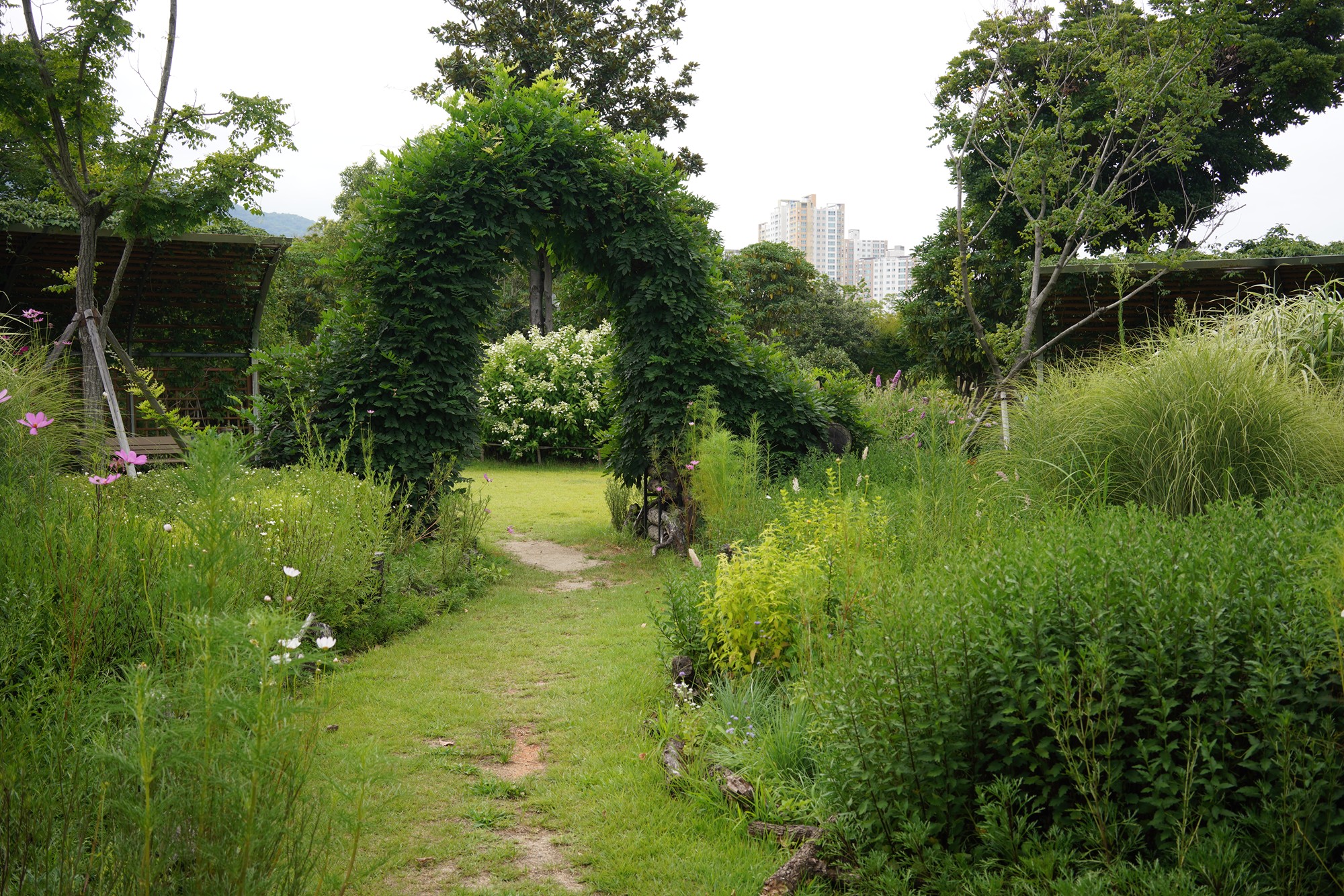 Suncheonman Bay Wetland (37)